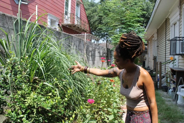 Gypsi_Black People with Plants_Collection of Collections.jpg