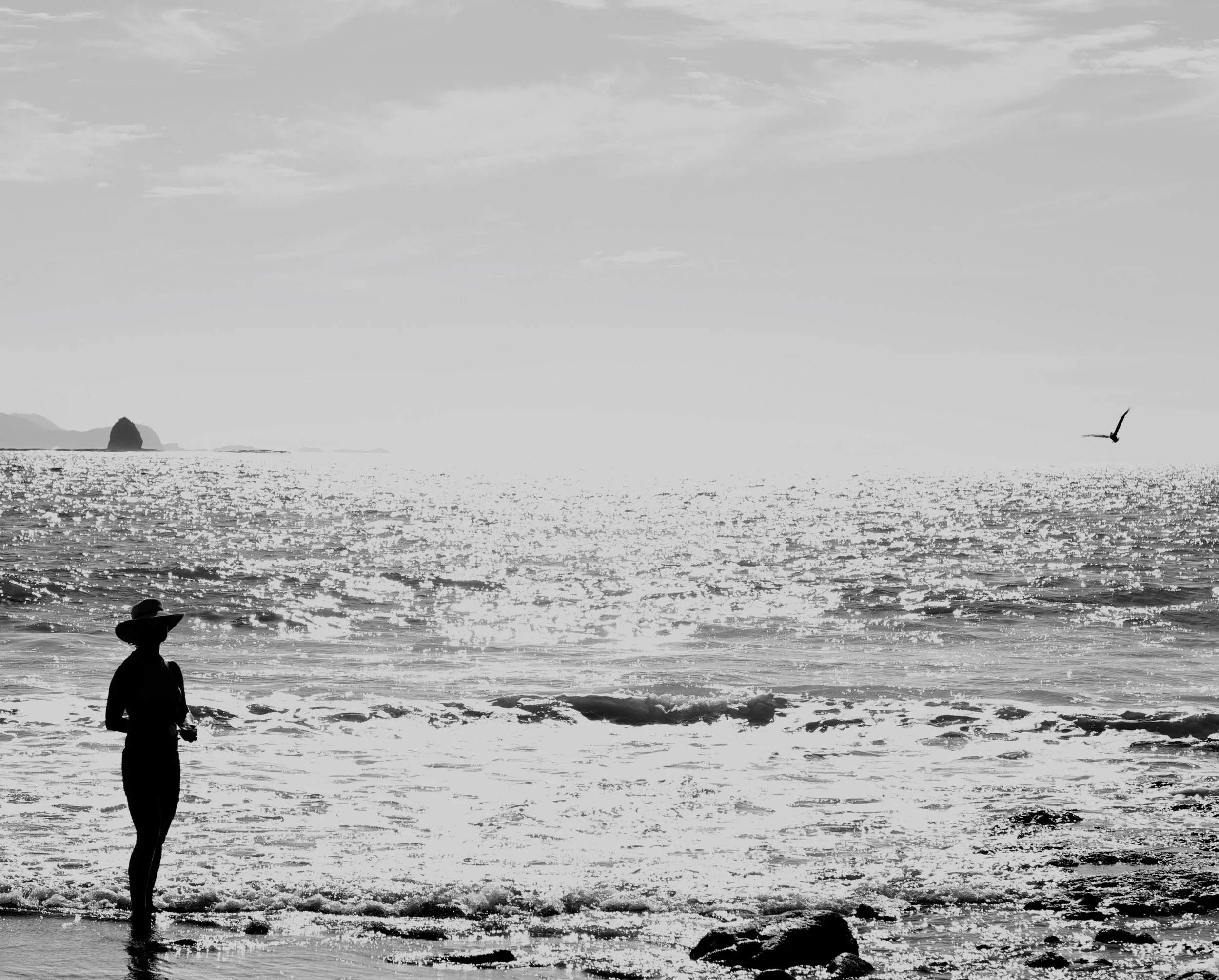 Guanacaste, Costa Rica, 2017