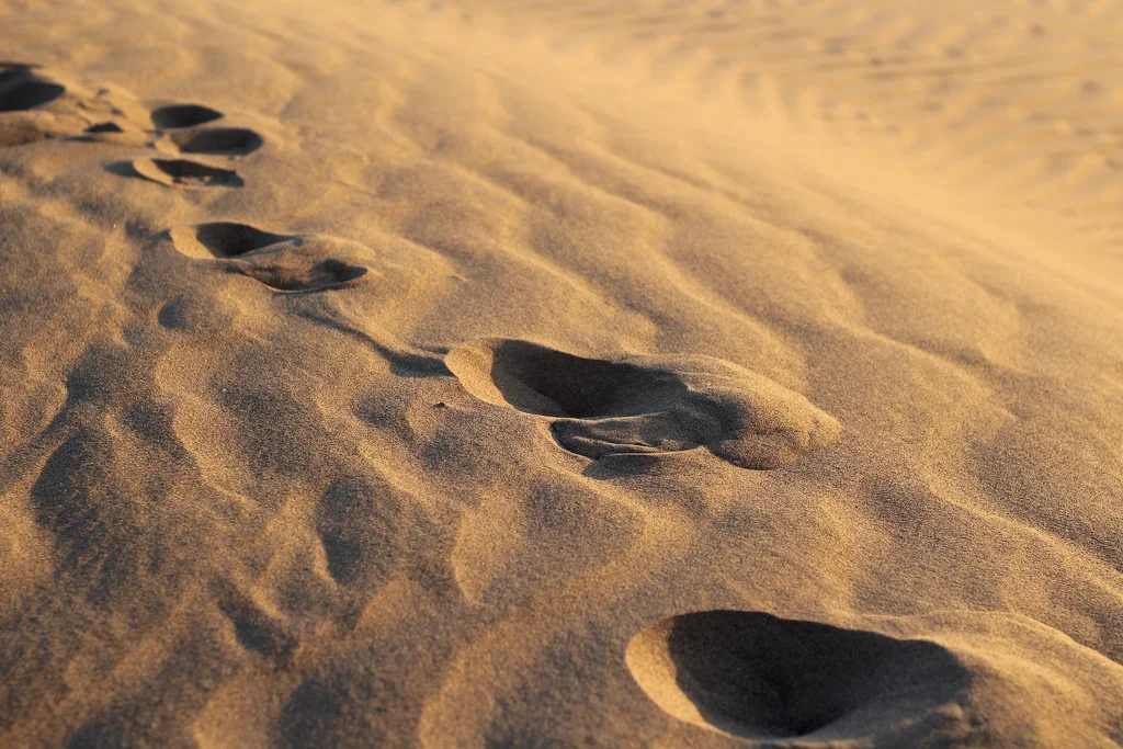 Sahara Desert, Morocco, 2014