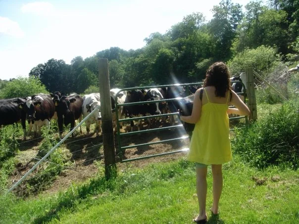 playing for cows.jpg