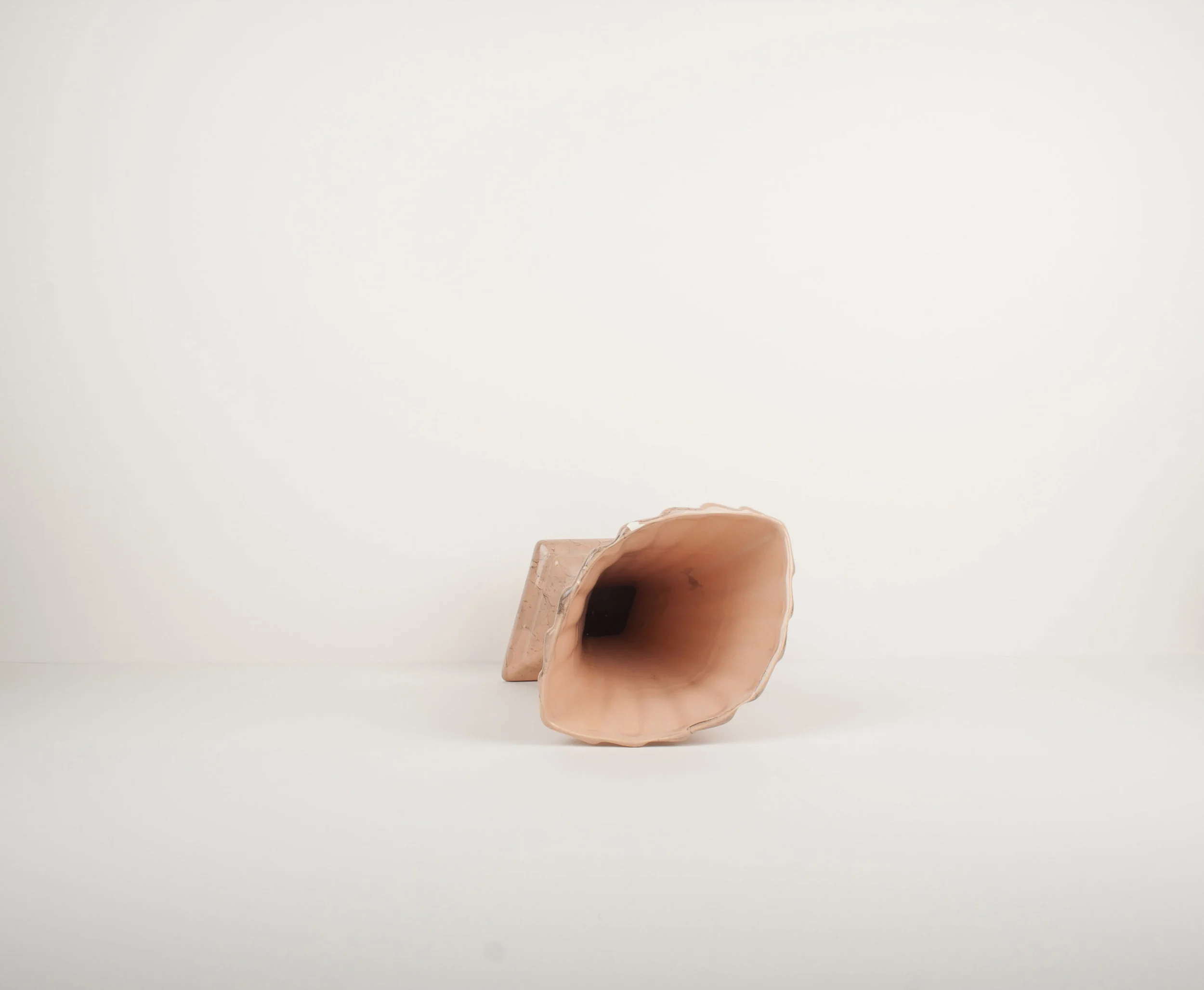 Vase coquillage