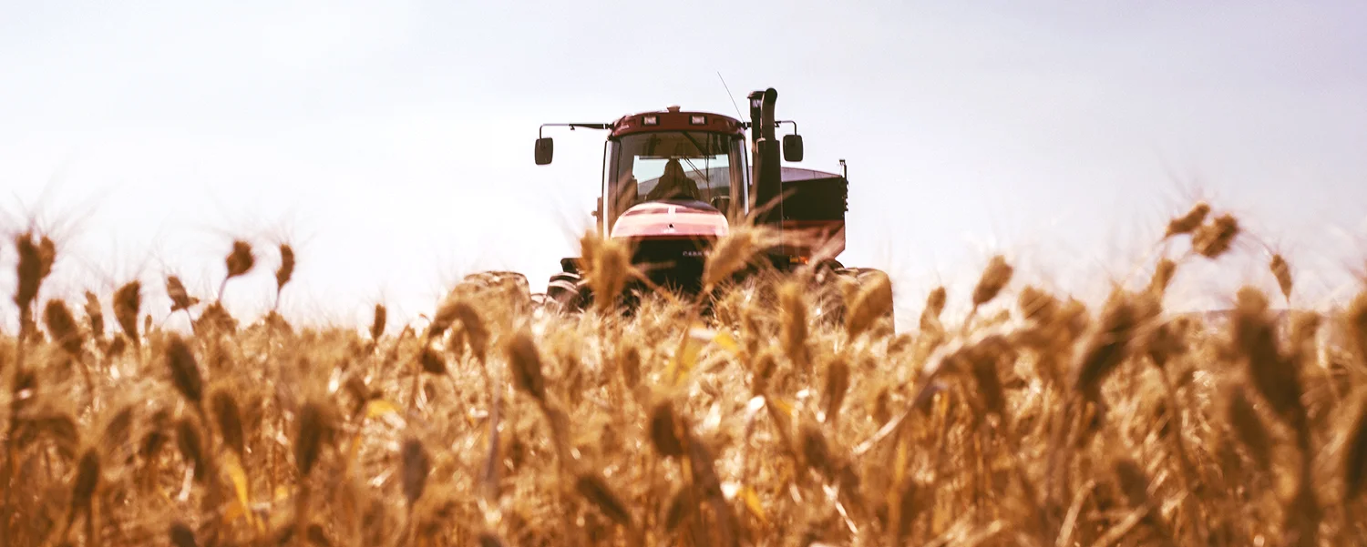 harvest.jpg