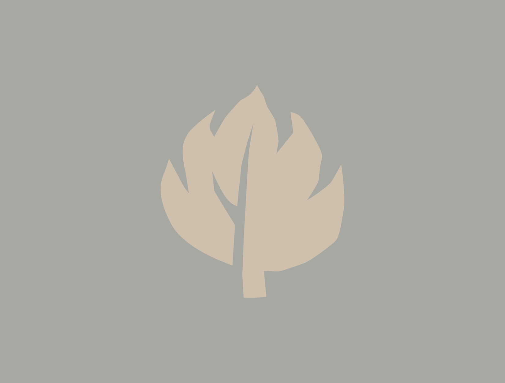 KAOXU CHANG Communications Served as a core member of US and overseas church plants since 2012