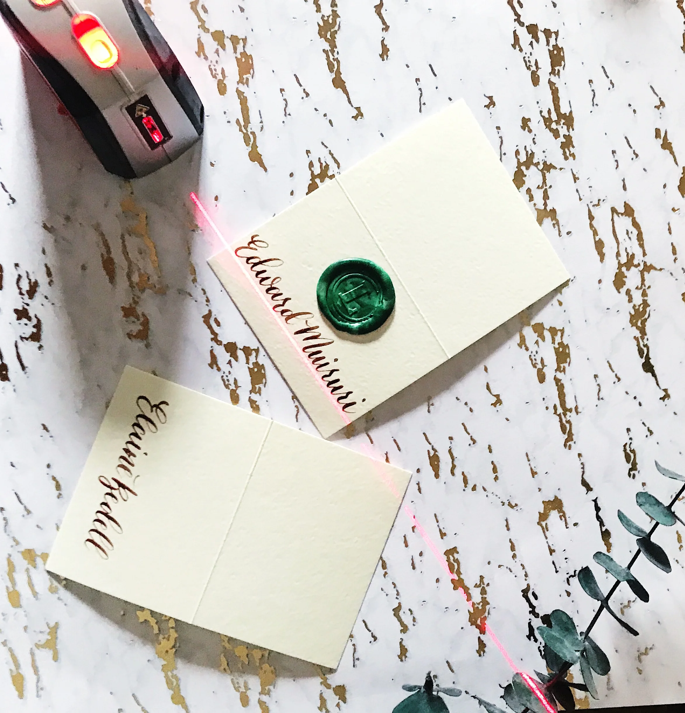 E06BB514-C1D8-4267-A9D4-954AA869E270 2.JPG