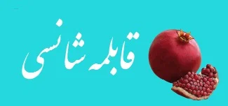 pic.jpg
