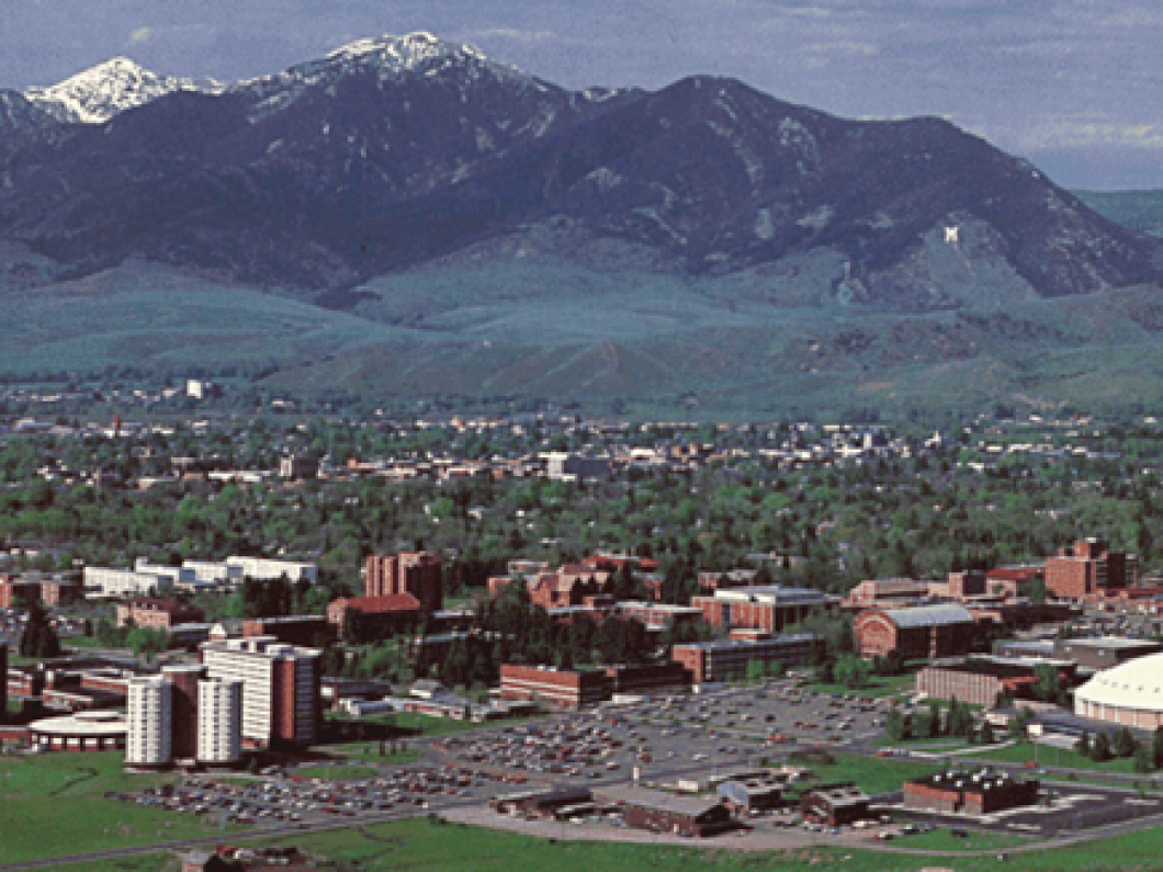 MontanaState1.png