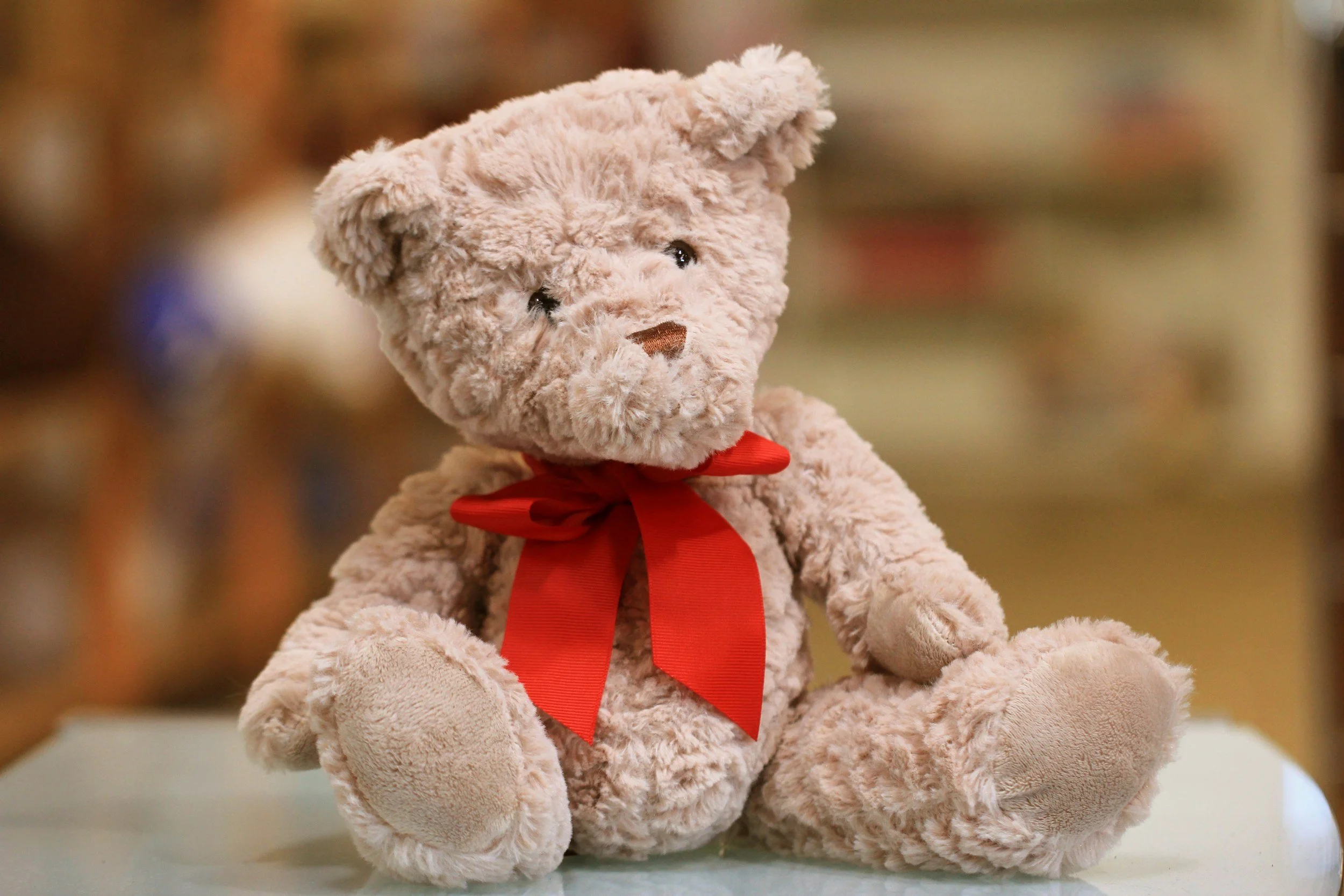 National Teddy Bear Day 