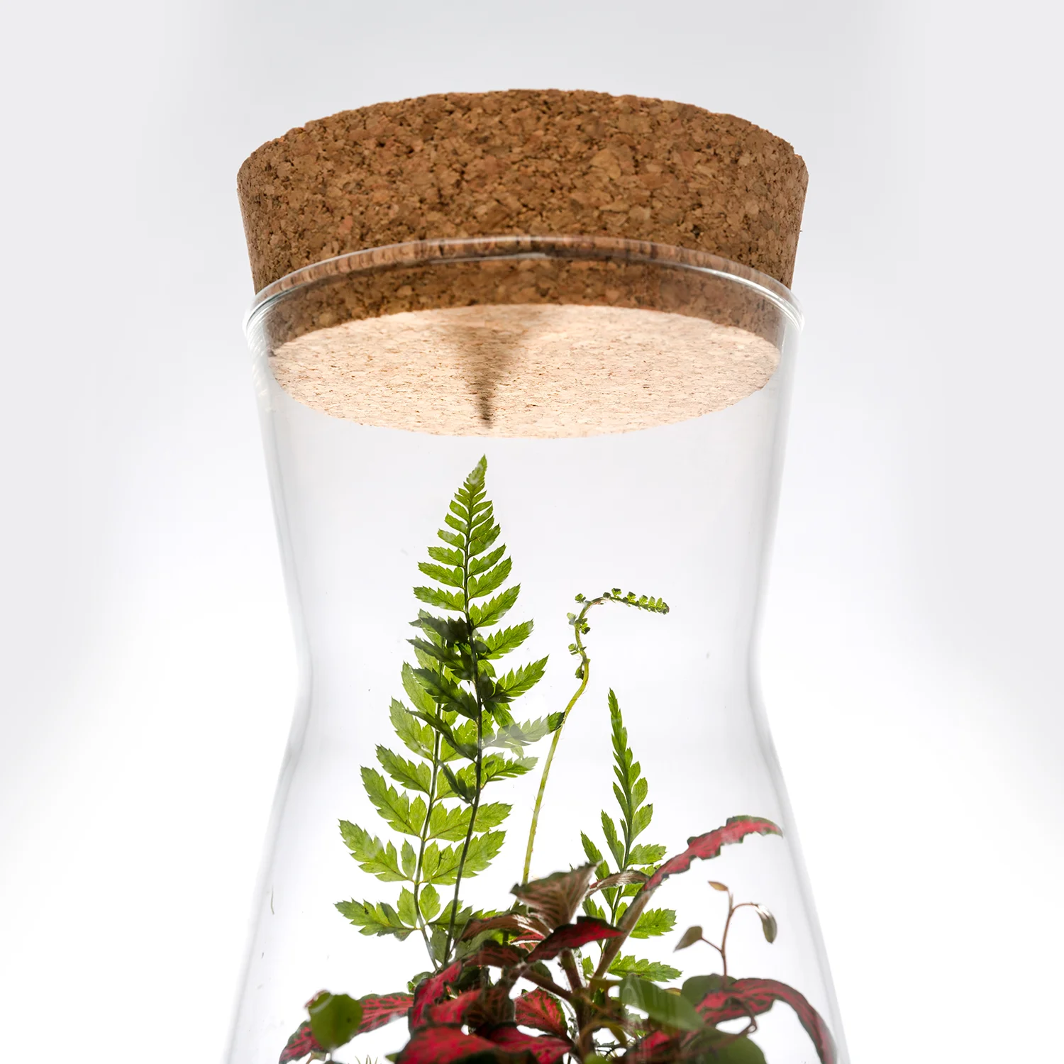 carafe3.jpg