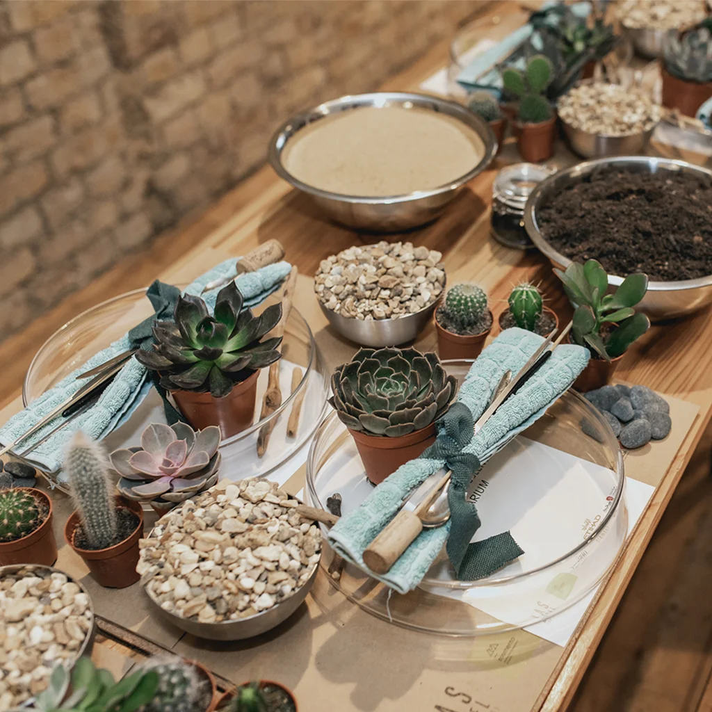 cactus3 (1).jpg
