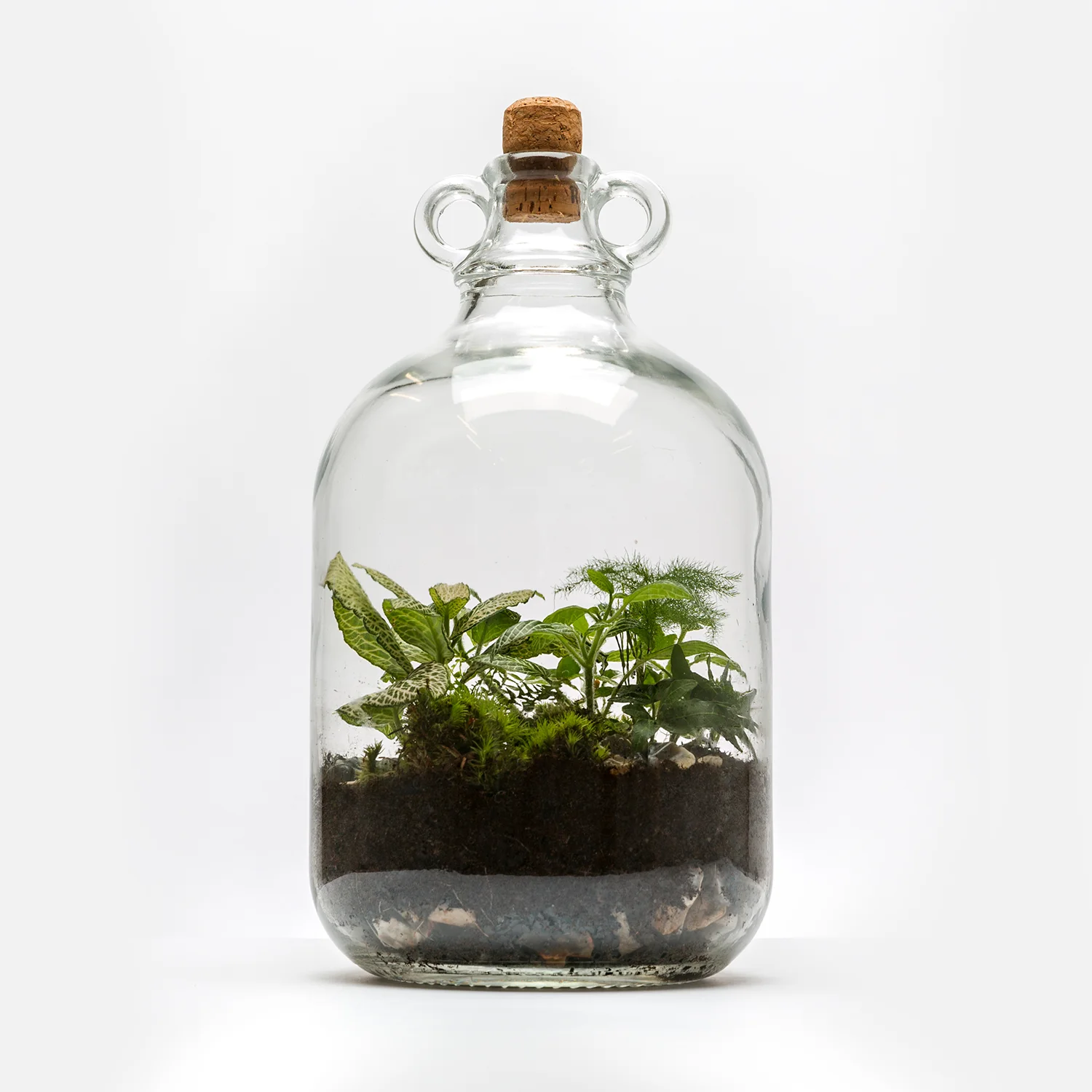 demijohn1.jpg