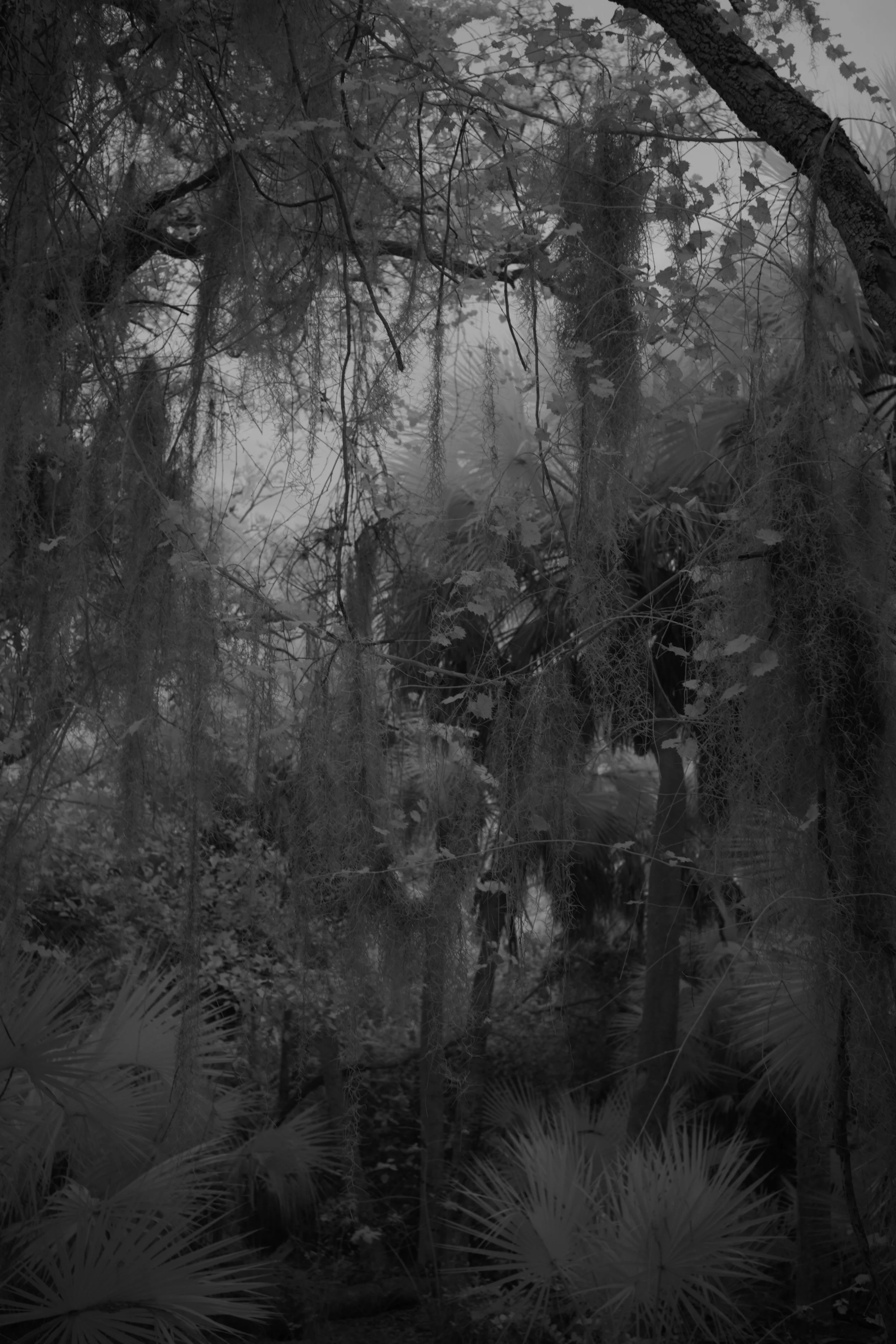 delray 1.12.2521946.JPG