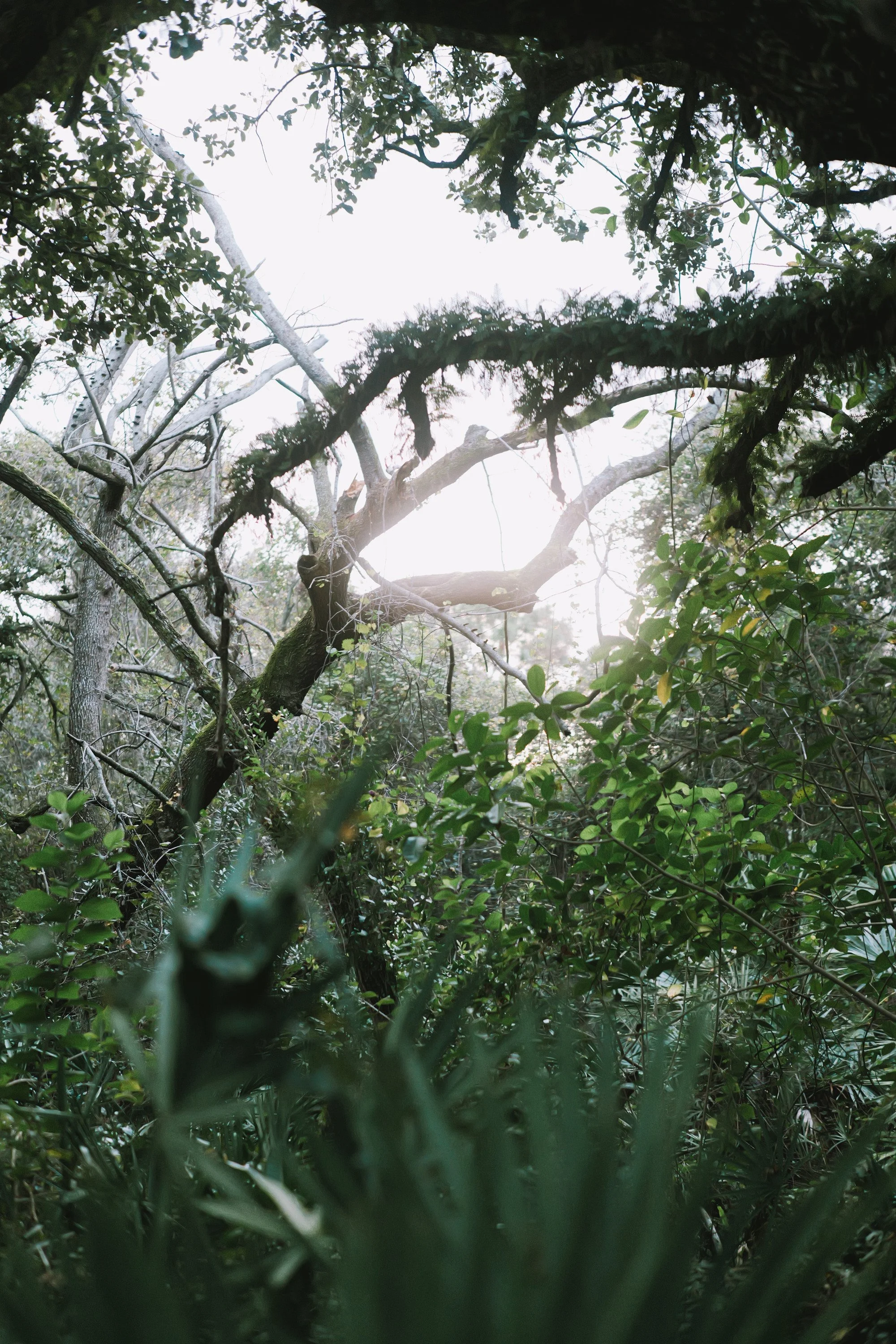 delray 12.29.2419986.JPG