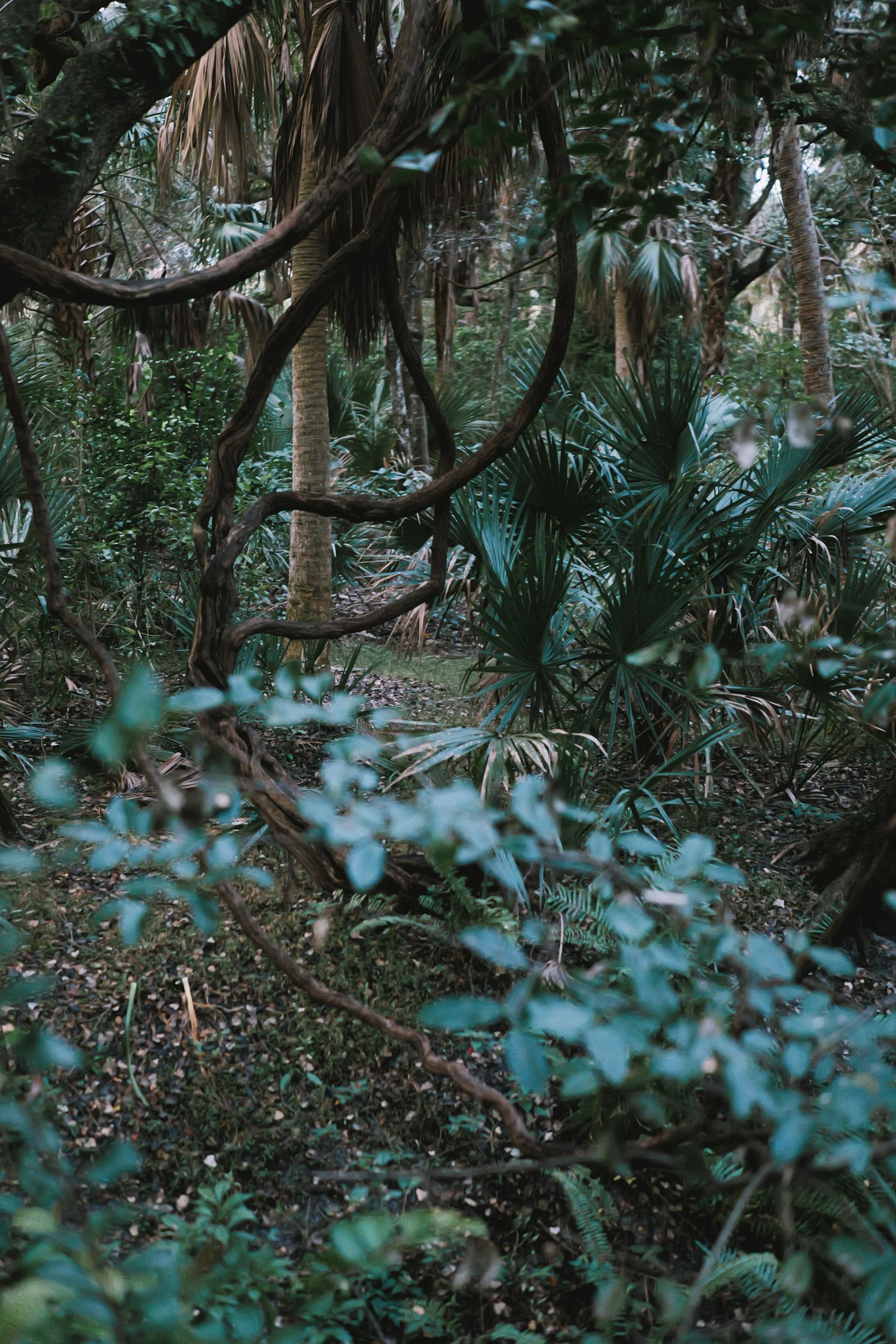 delray 12.29.2419961.JPG