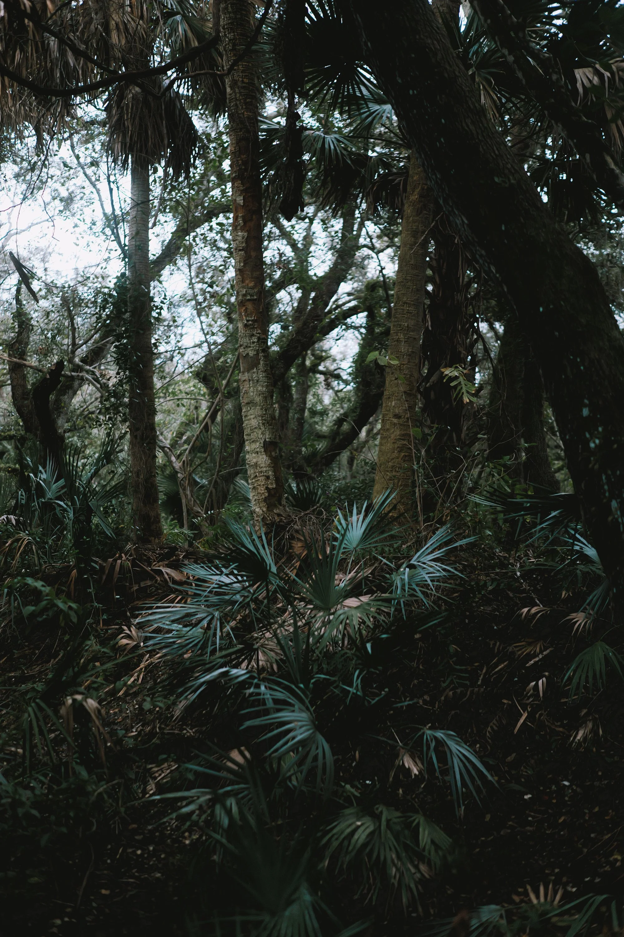 delray 12.29.2419947.JPG