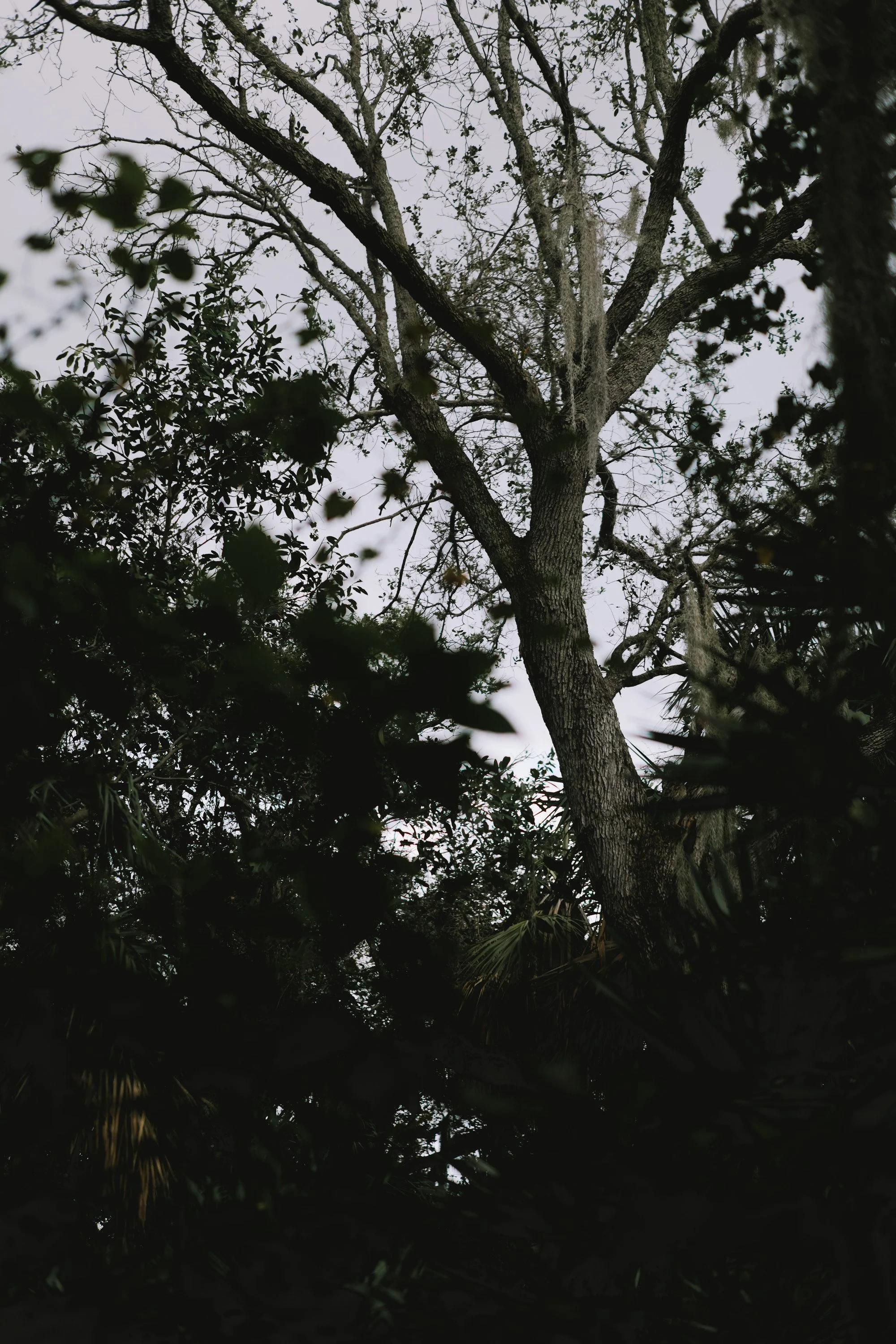 delray 12.29.2419801.JPG