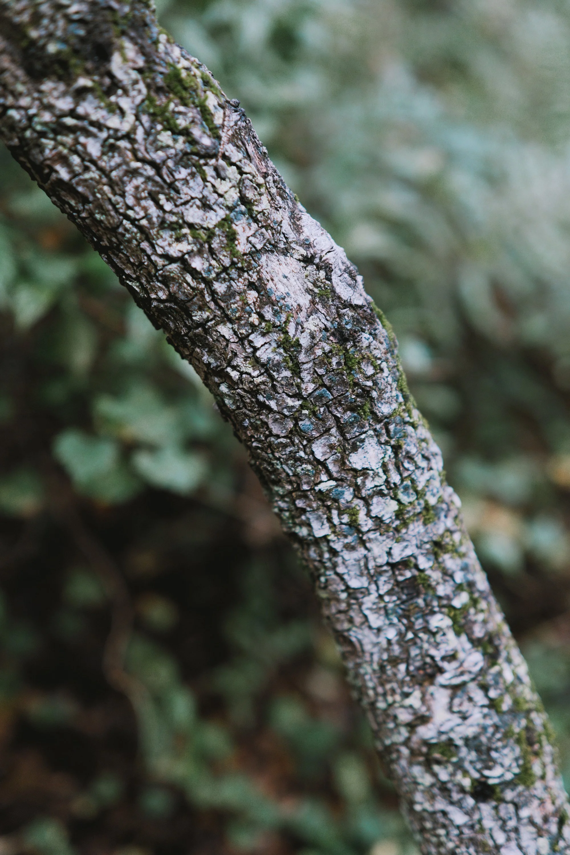 delray 12.29.2419761.JPG