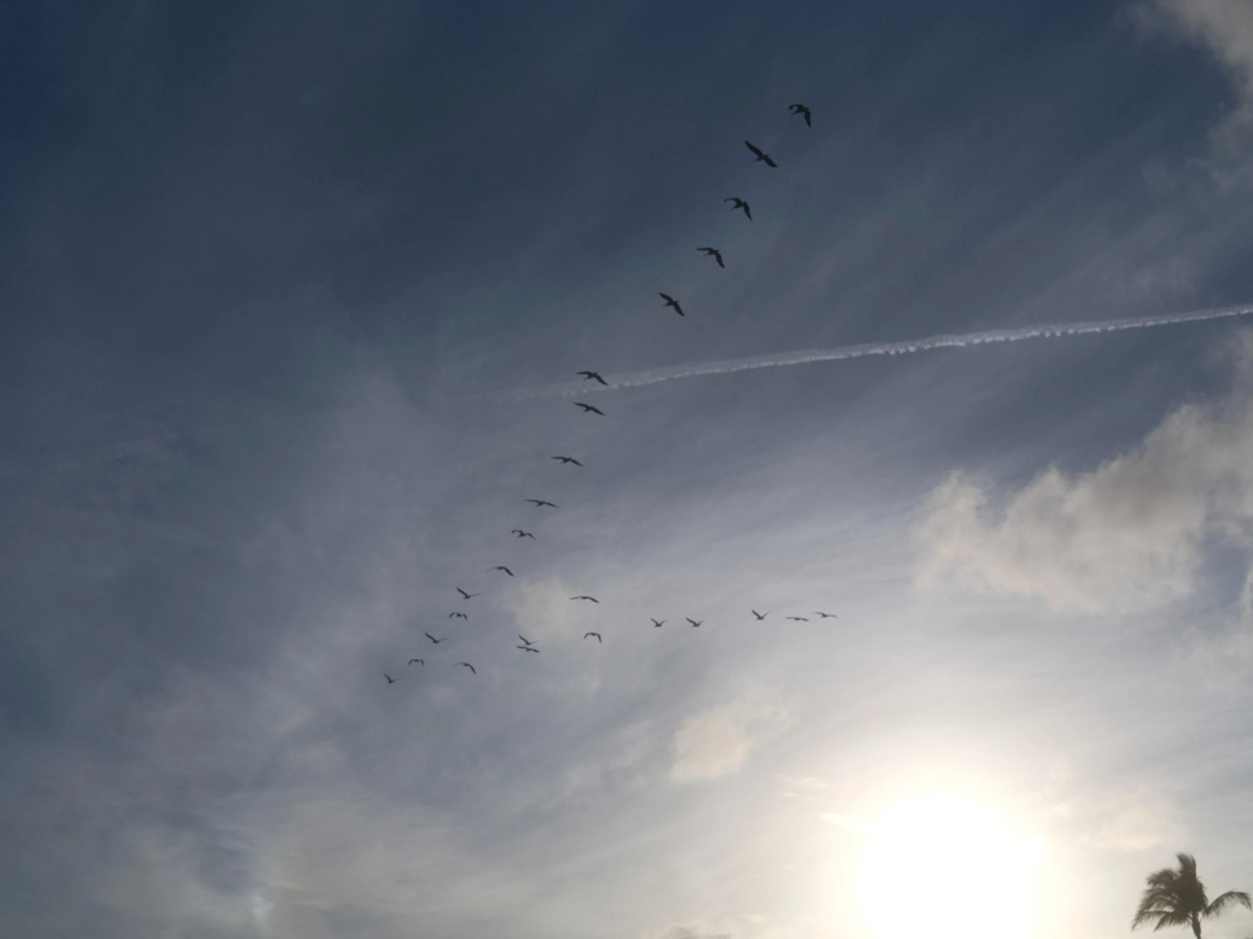 delray 12.25.2417885.JPG