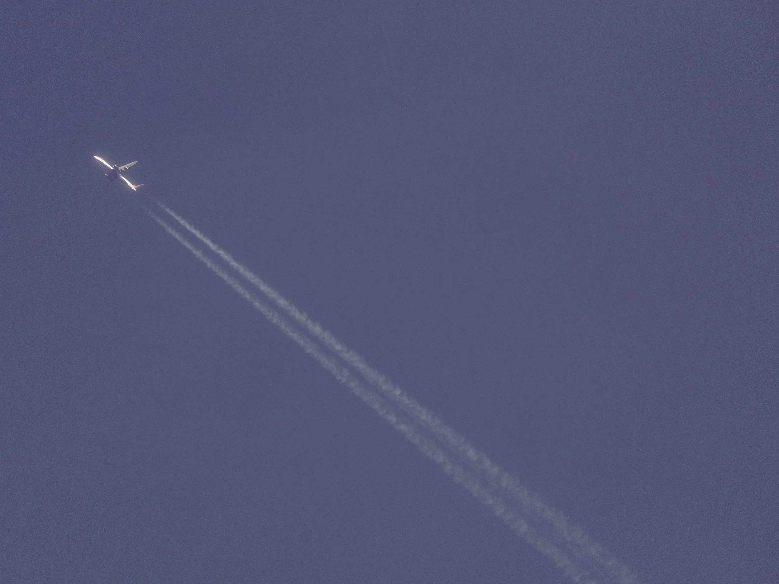 delray 12.25.2419372.JPG