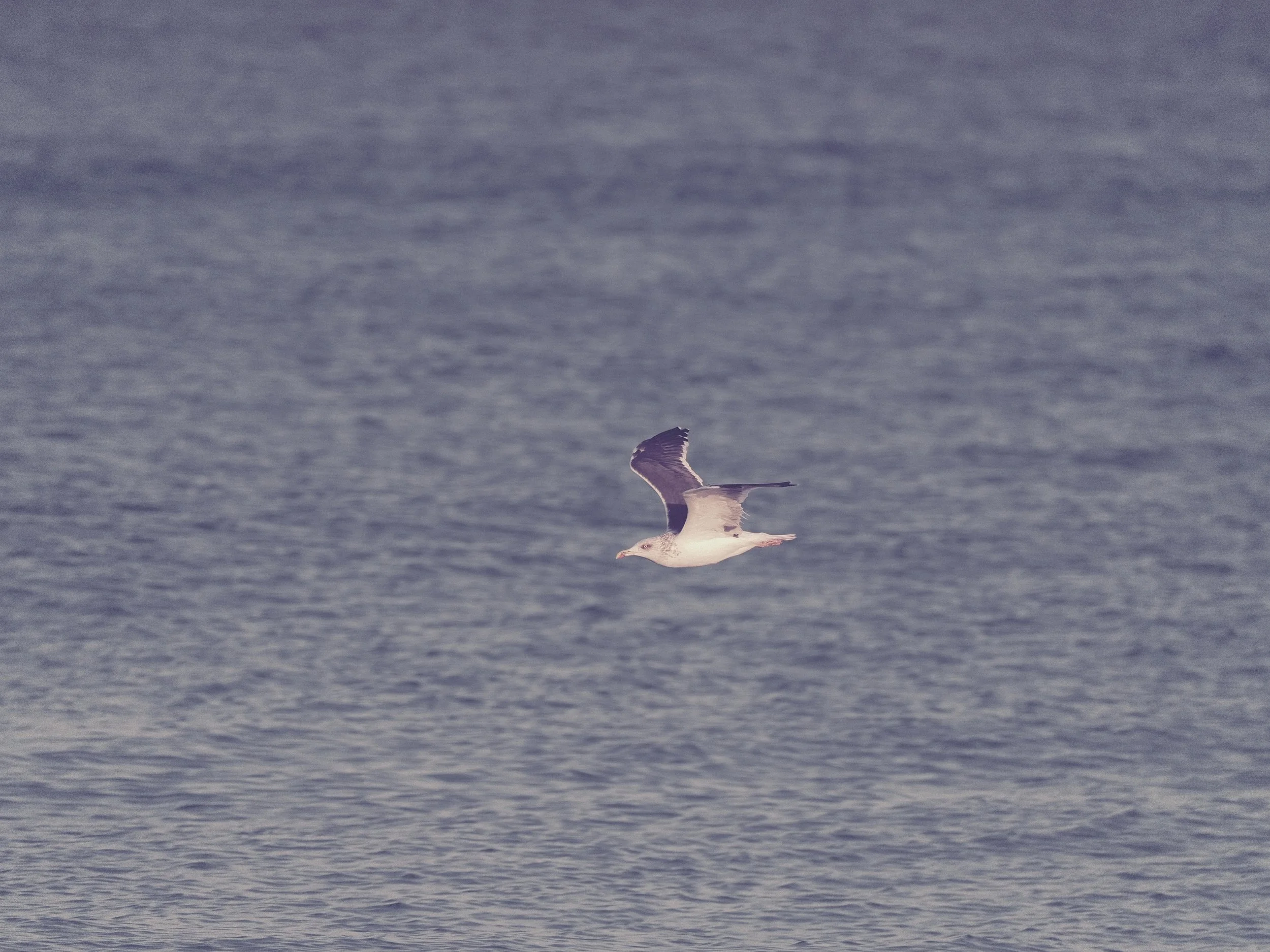 delray 12.25.2418934.JPG