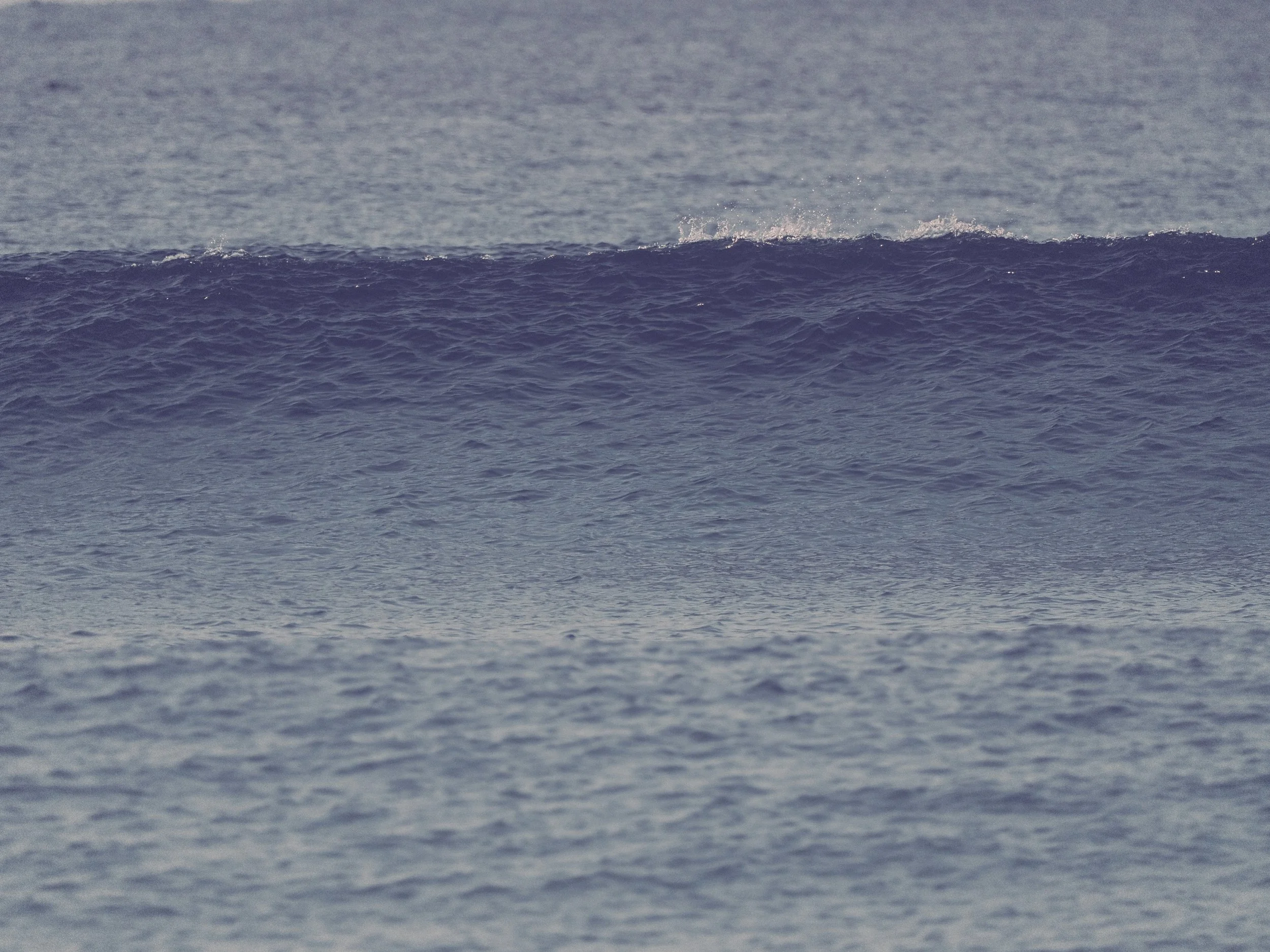 delray 12.25.2418854.JPG