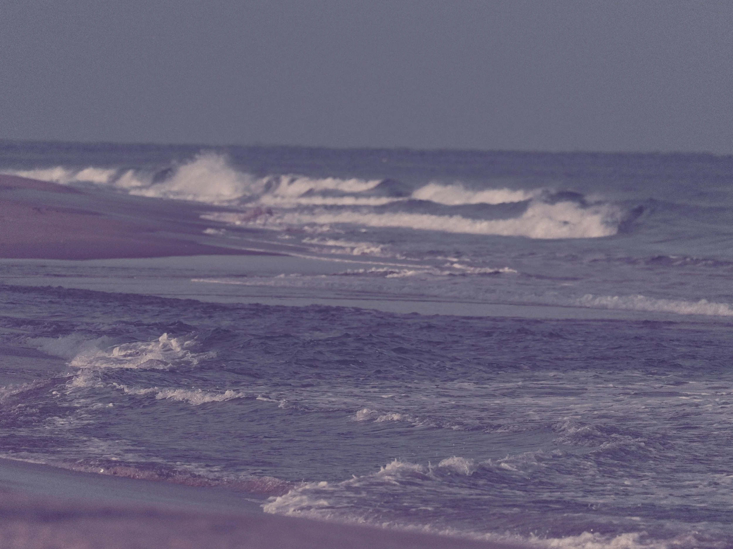 delray 12.25.2418536.JPG