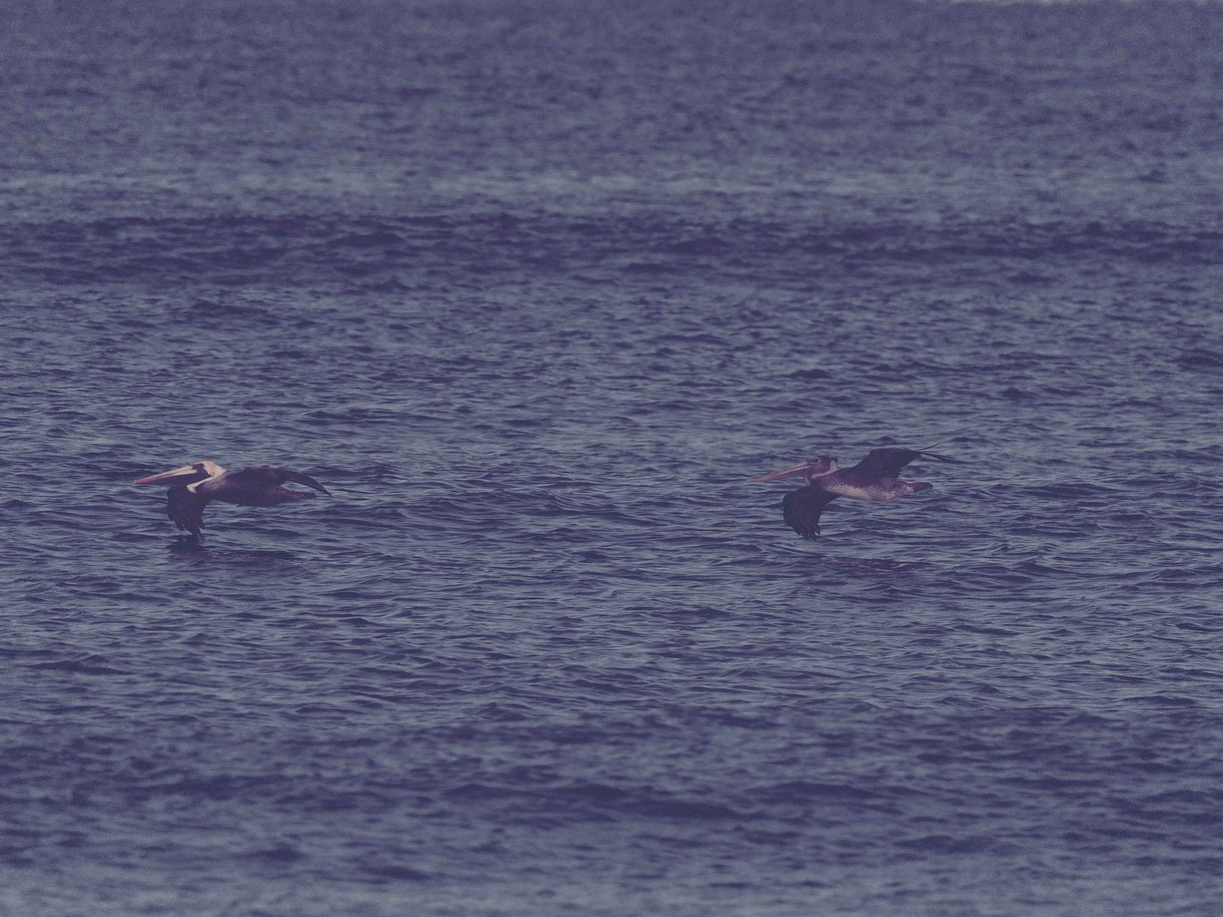 delray 12.25.2418521.JPG