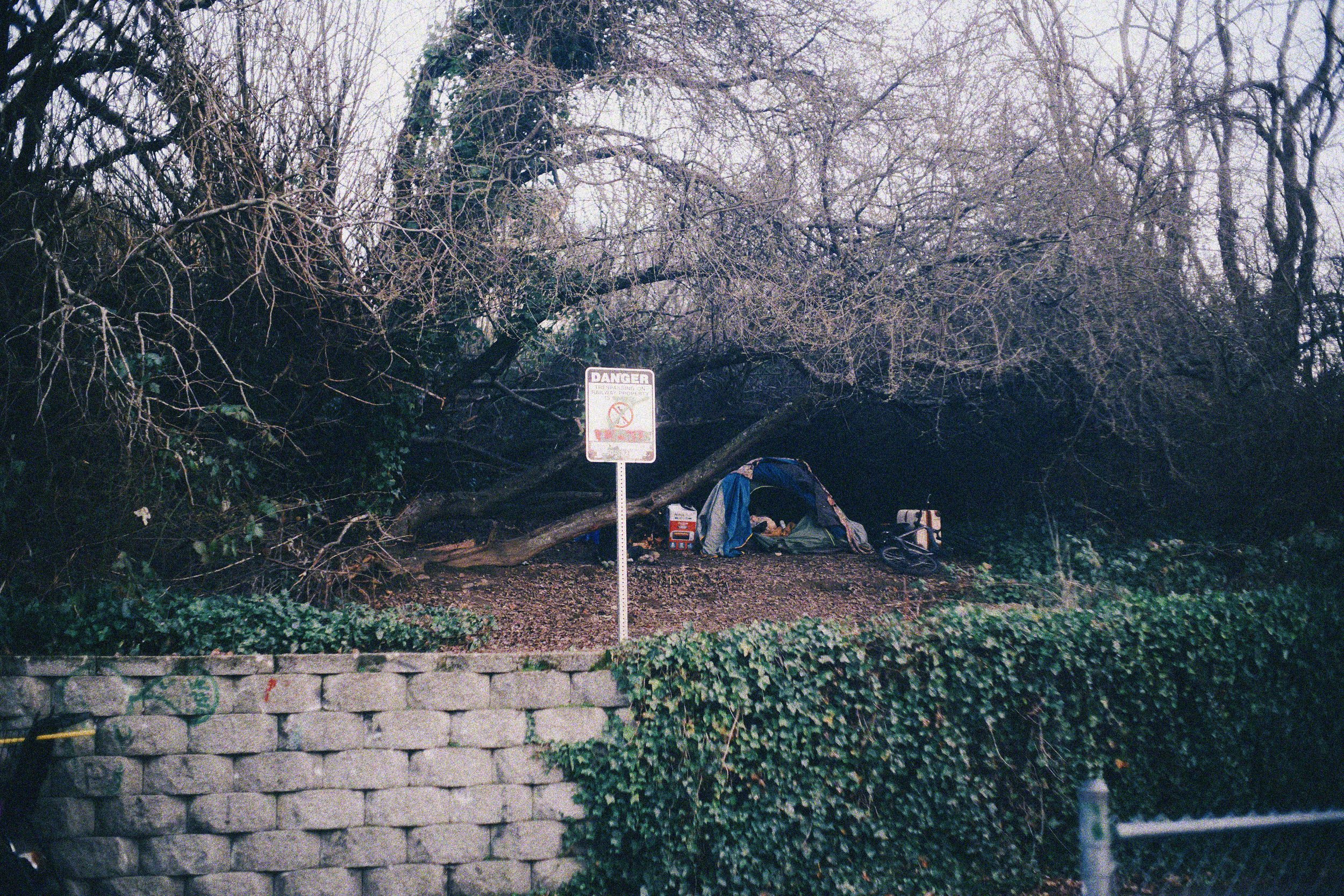 seattle 2.1.2616037.JPG