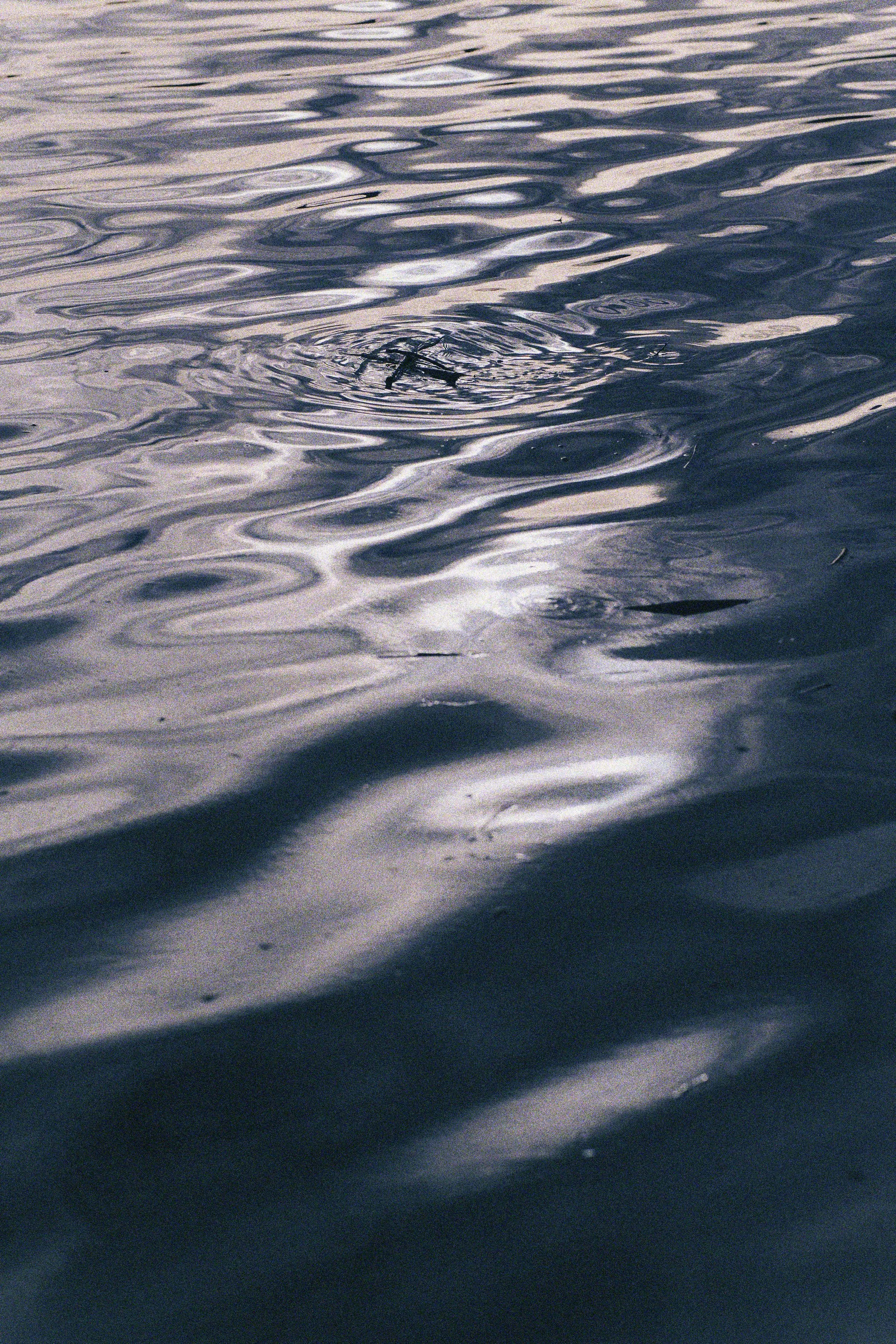 seattle 2.1.2616291.JPG