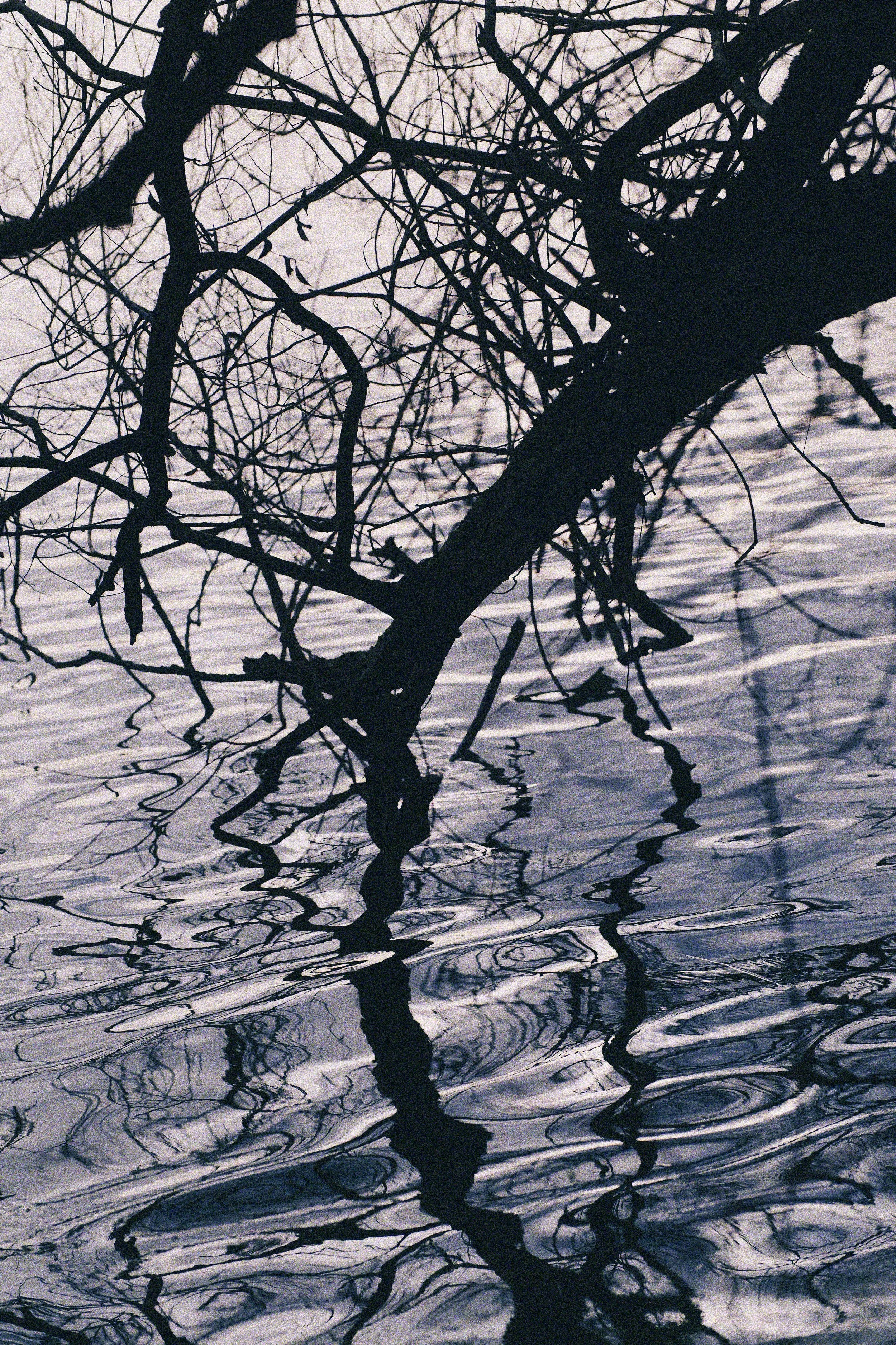 seattle 2.1.2616312.JPG