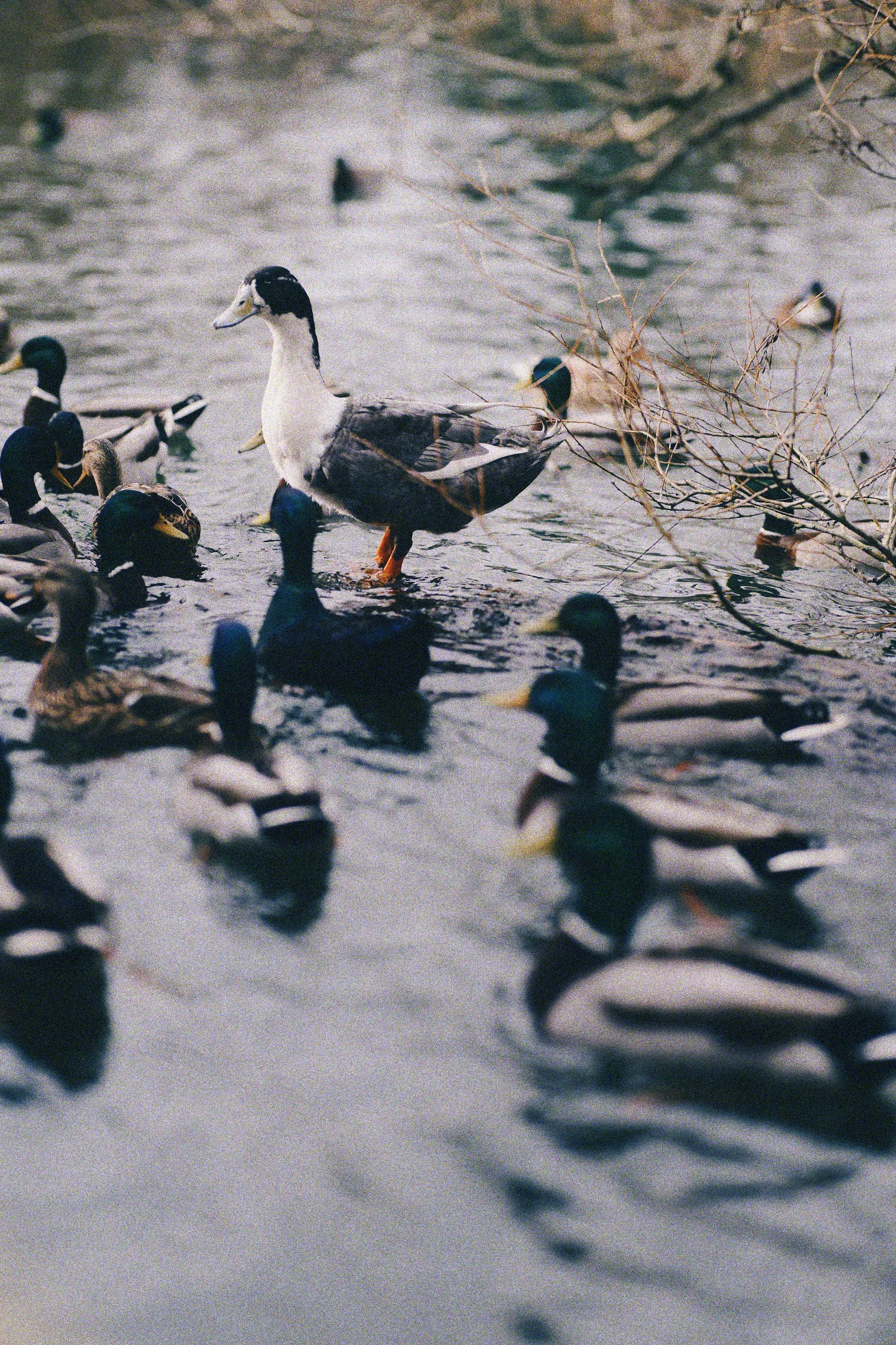 seattle 2.1.2616431.JPG