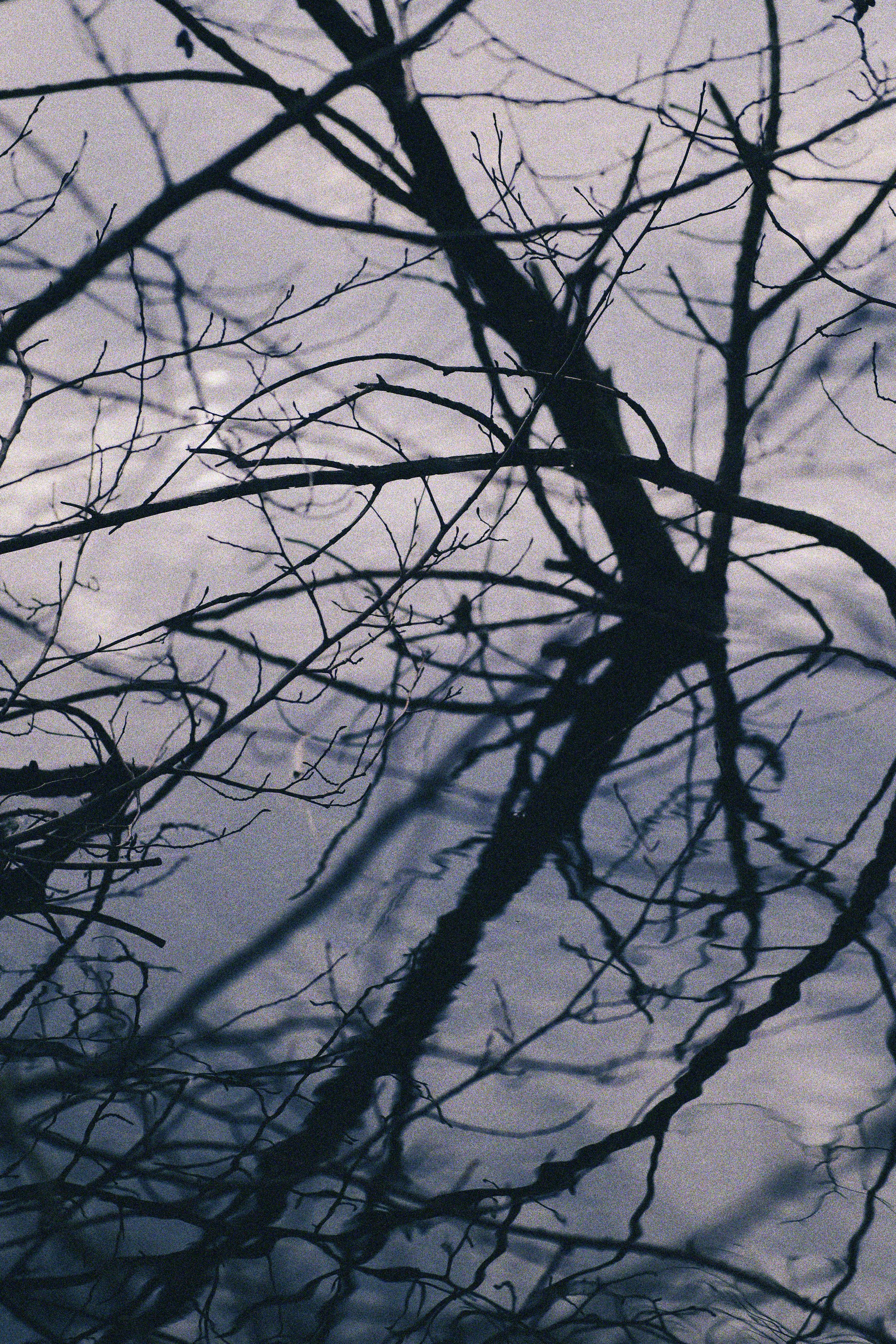 seattle 2.1.2616473.JPG