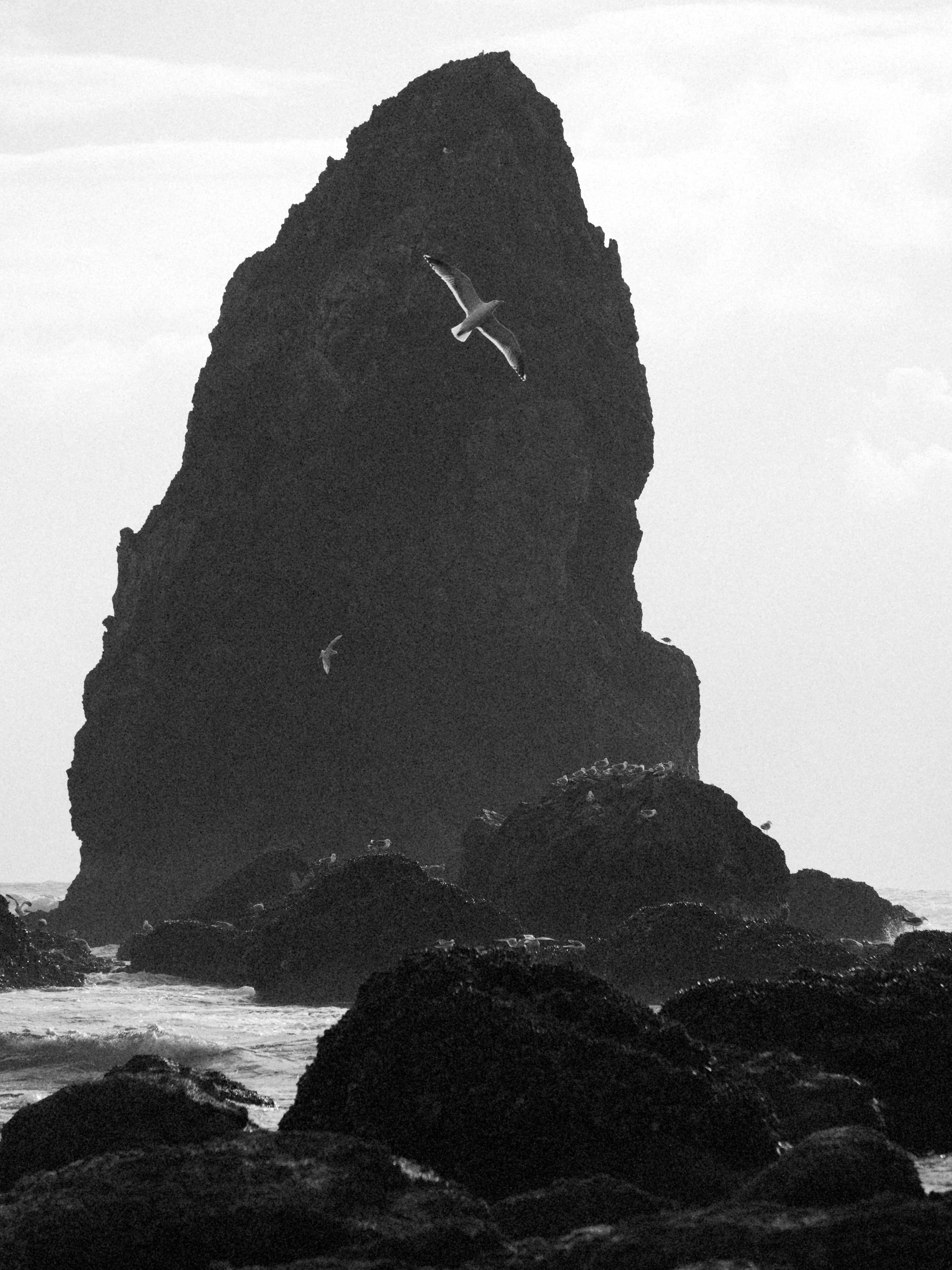 haystack 3.2.232874e.jpg