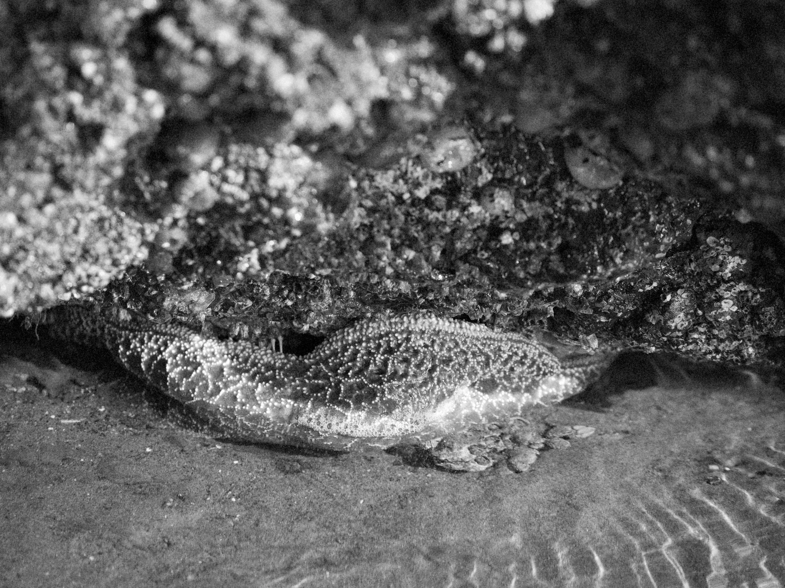 haystack 3.2.232777e.jpg