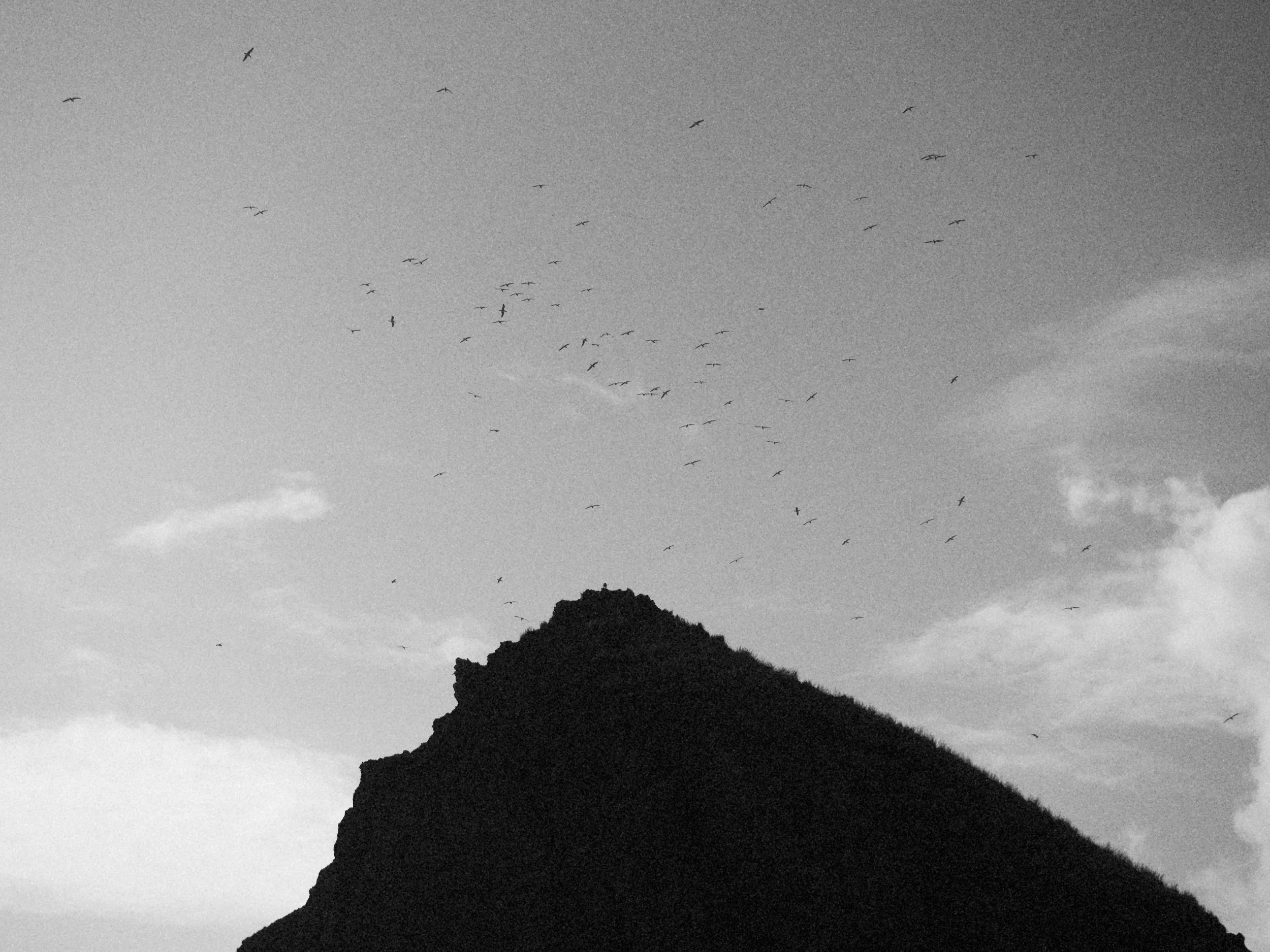 haystack 3.2.232759e.jpg