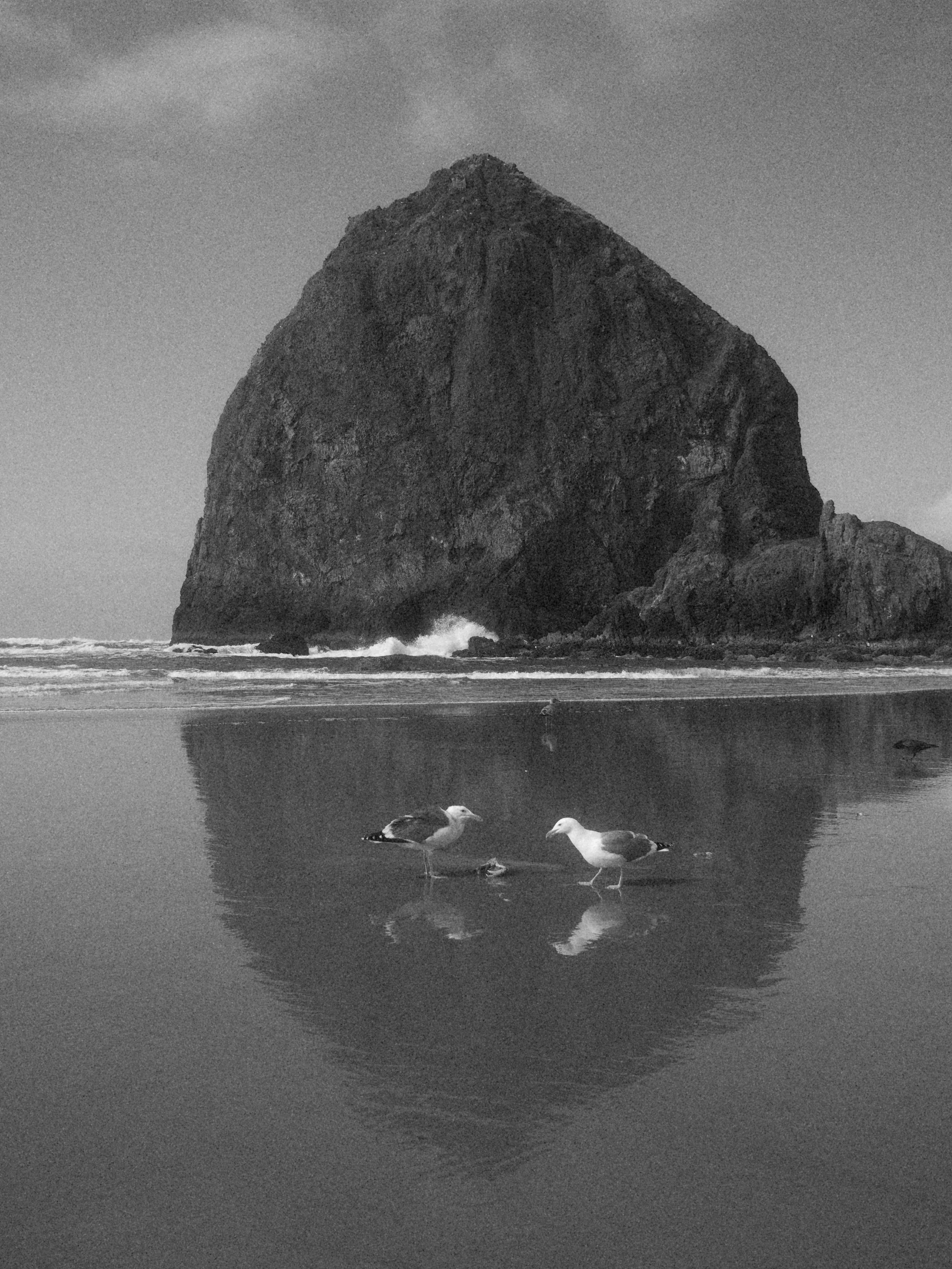 haystack 3.2.232149e.jpg