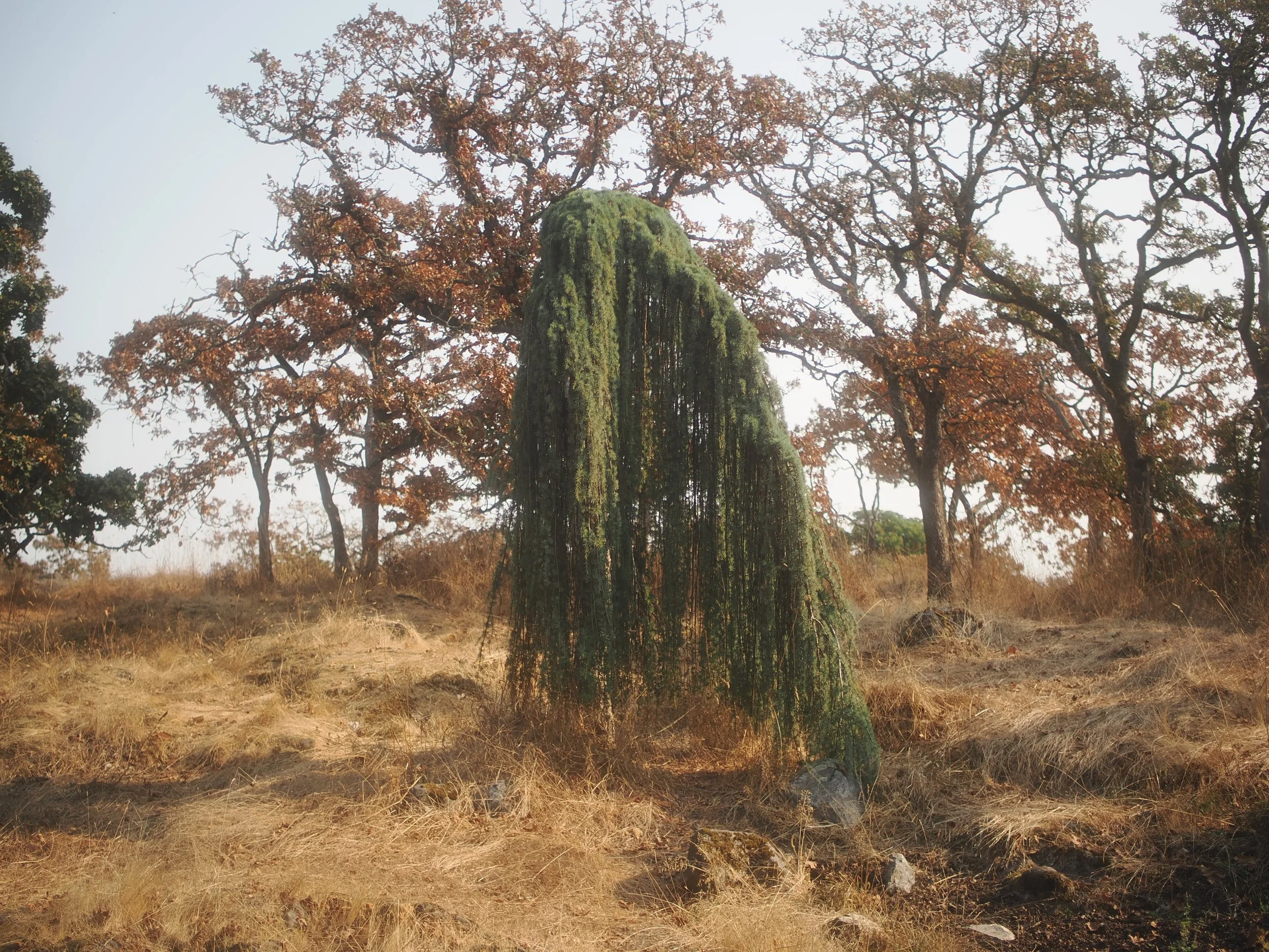 diablo 6.20.2341578.JPG