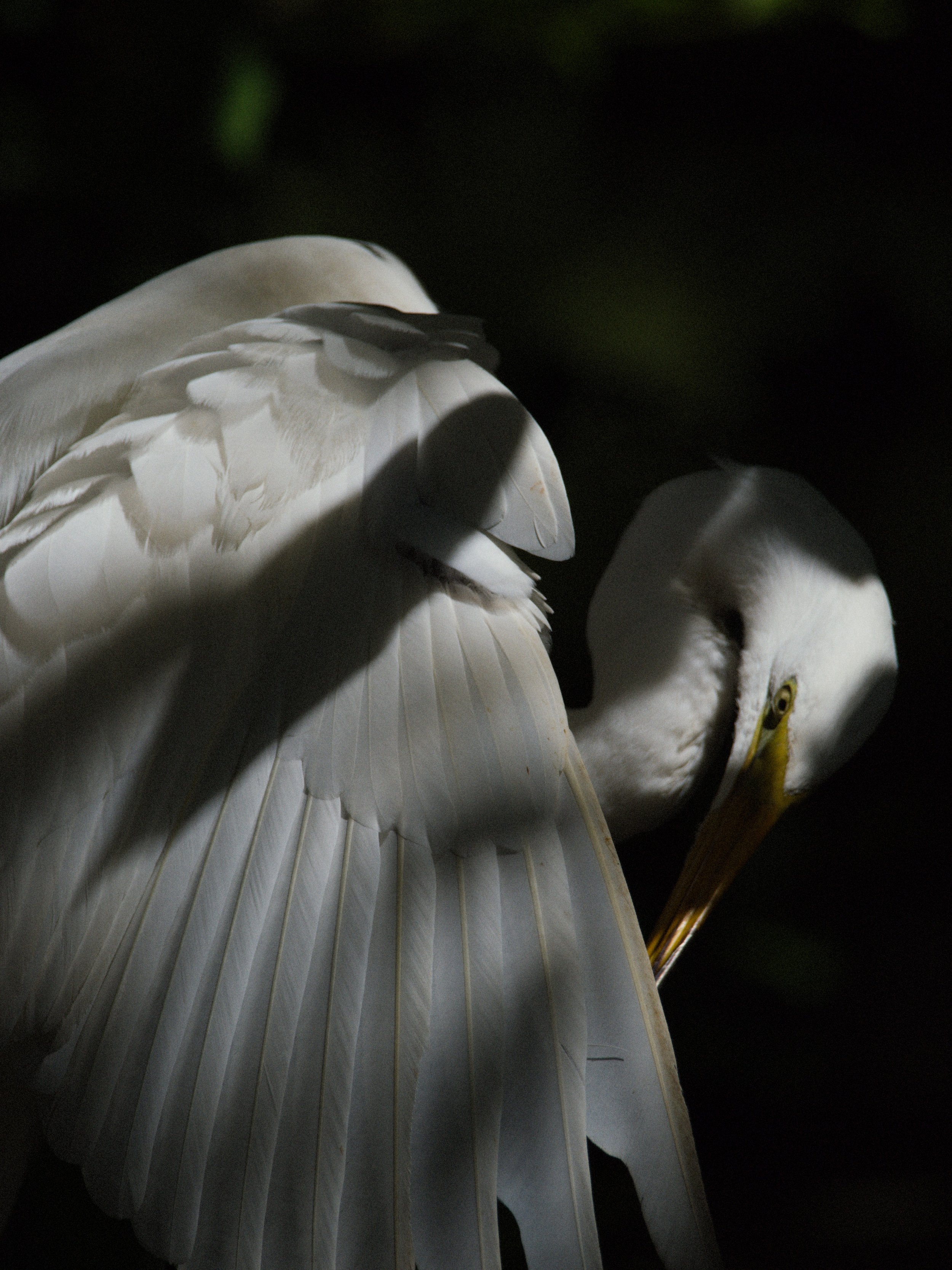 florida 4.12.235312e.jpg