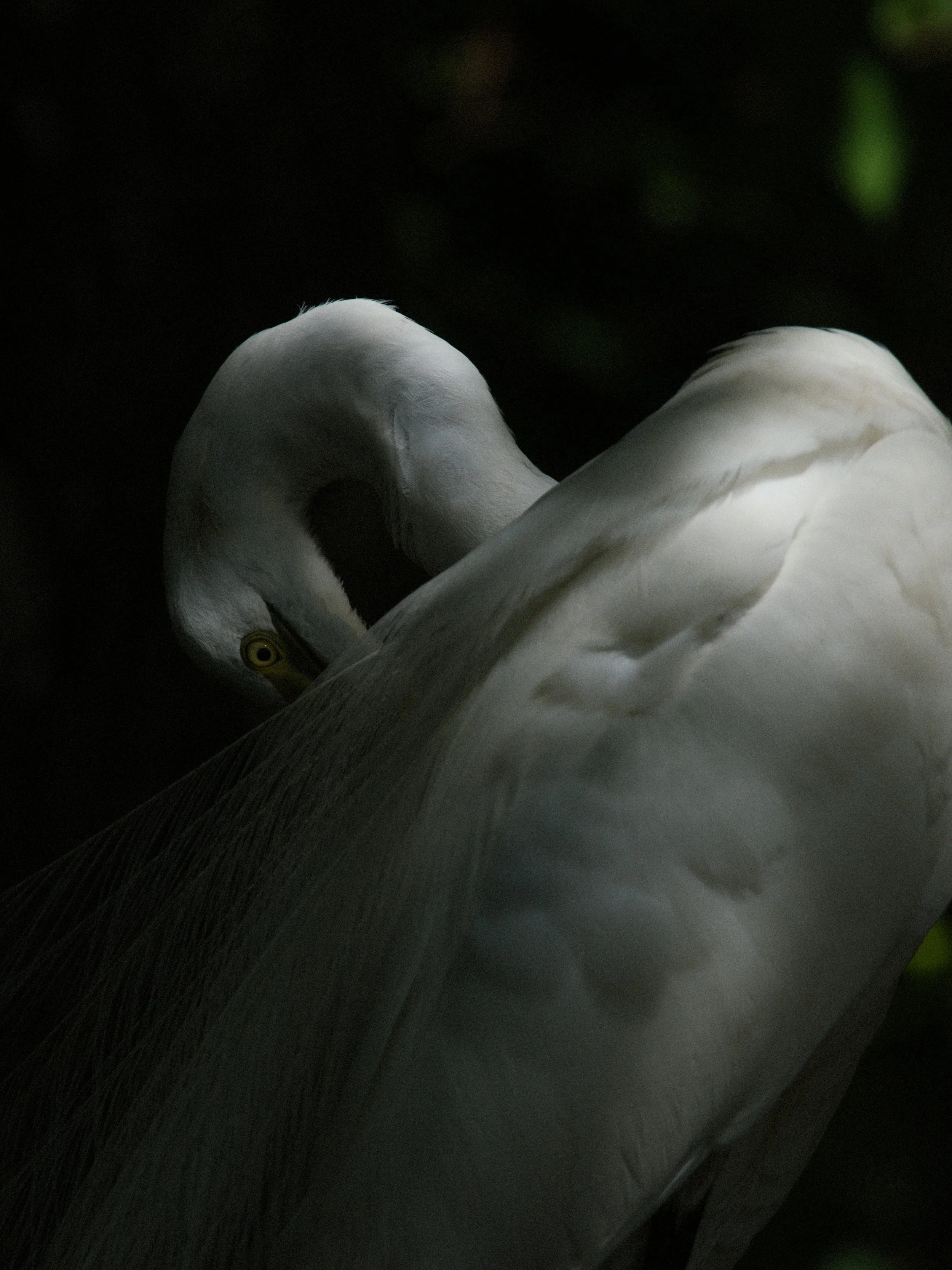 florida 4.12.235188e.jpg