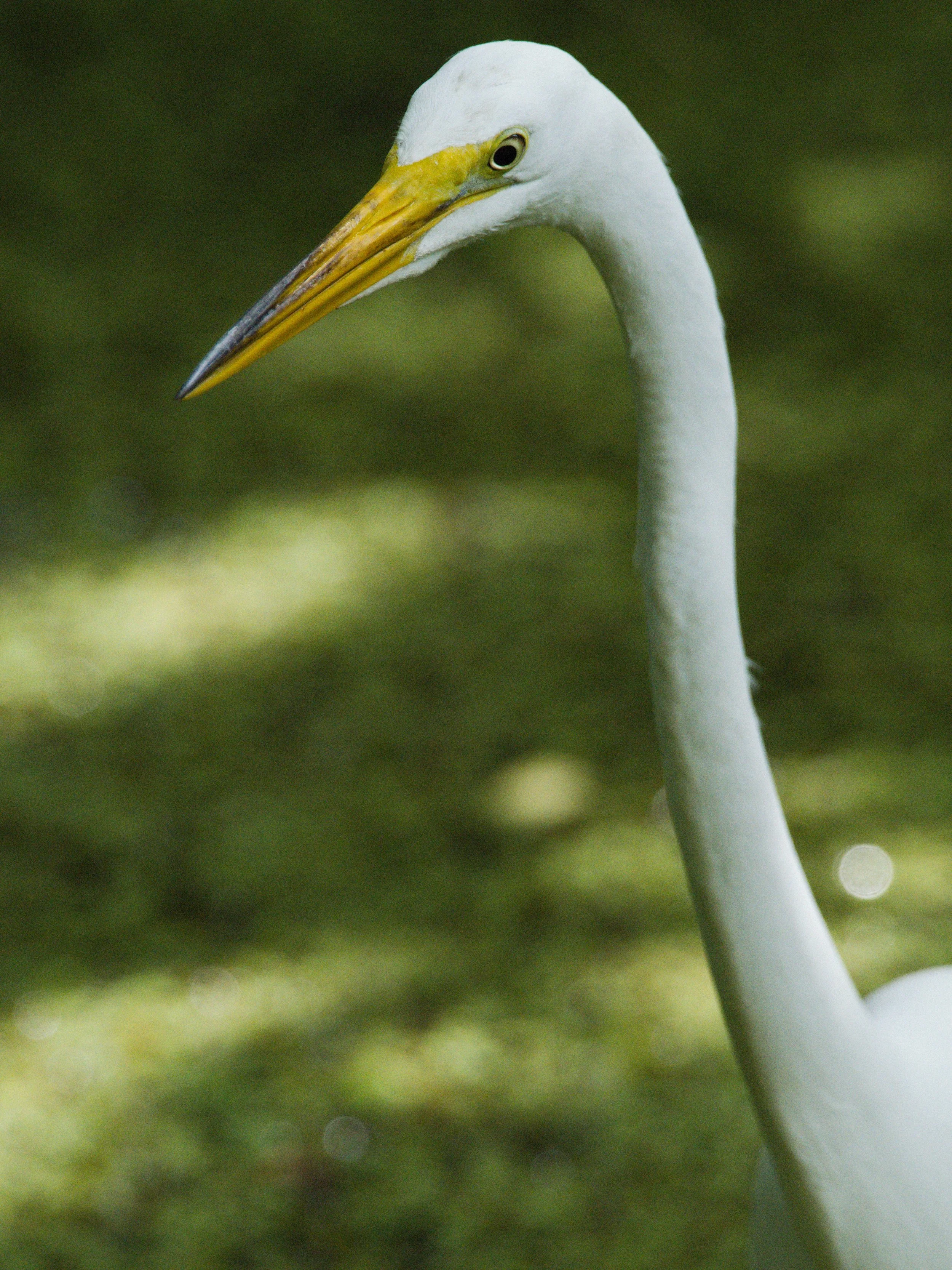 florida 4.12.234499e.jpg