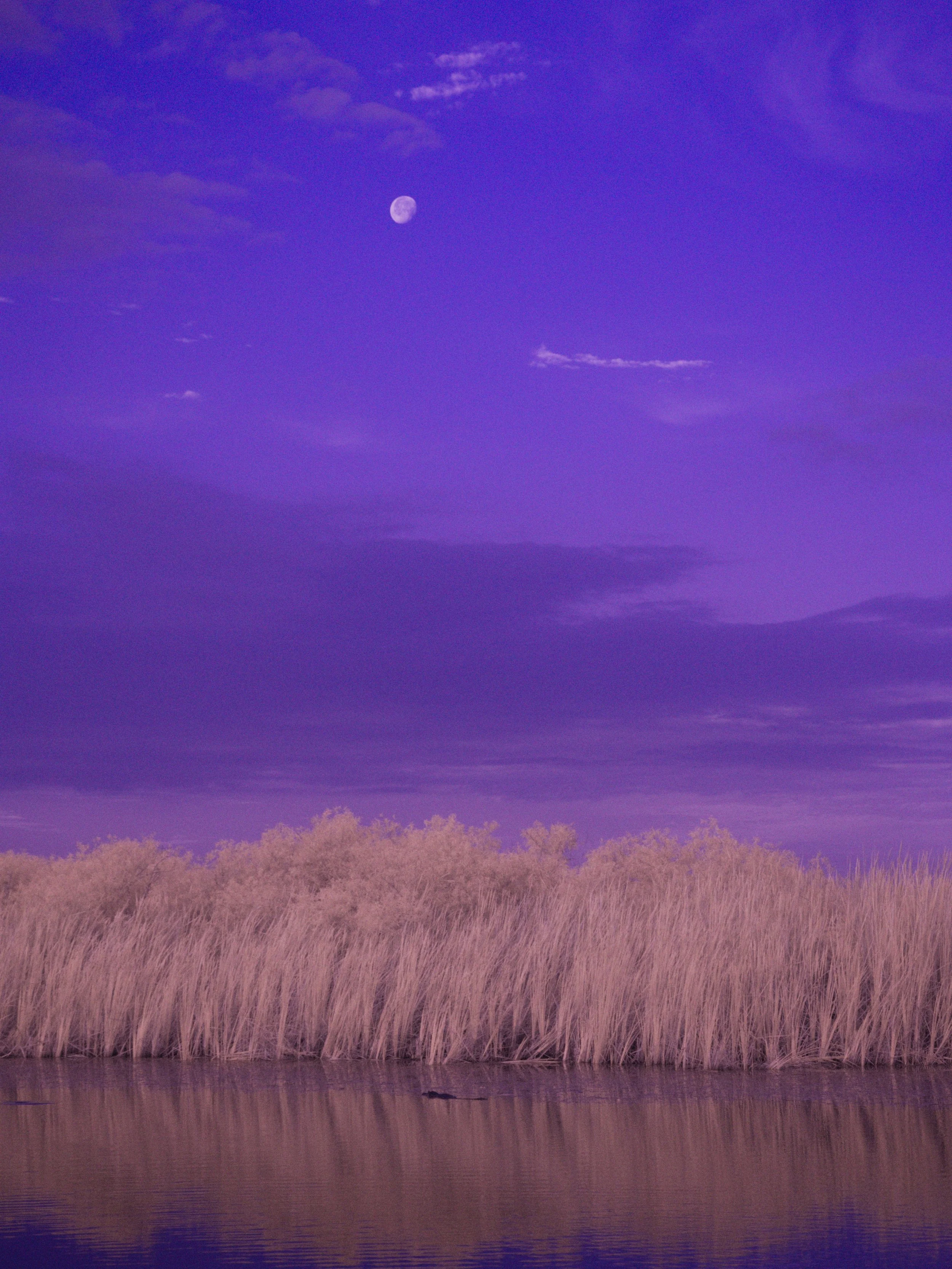 florida 4.12.238599e.jpg