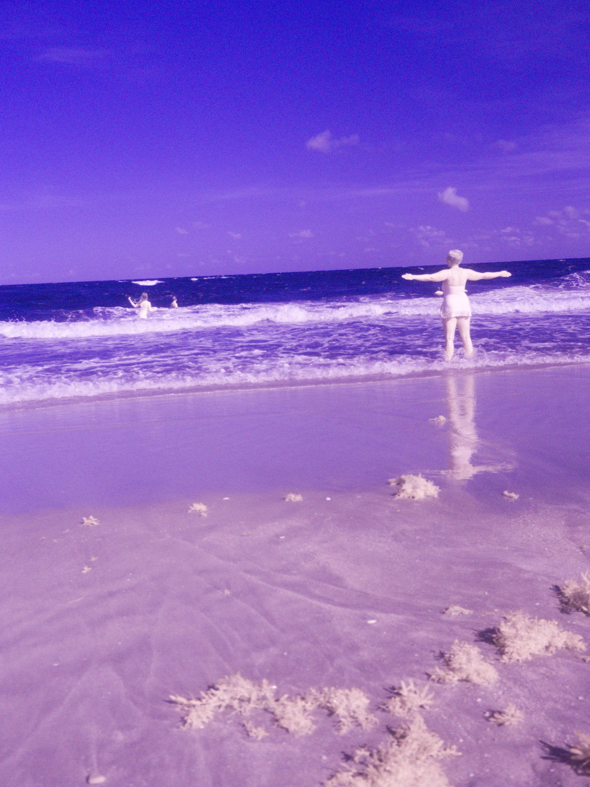 florida 4.12.238227e.jpg