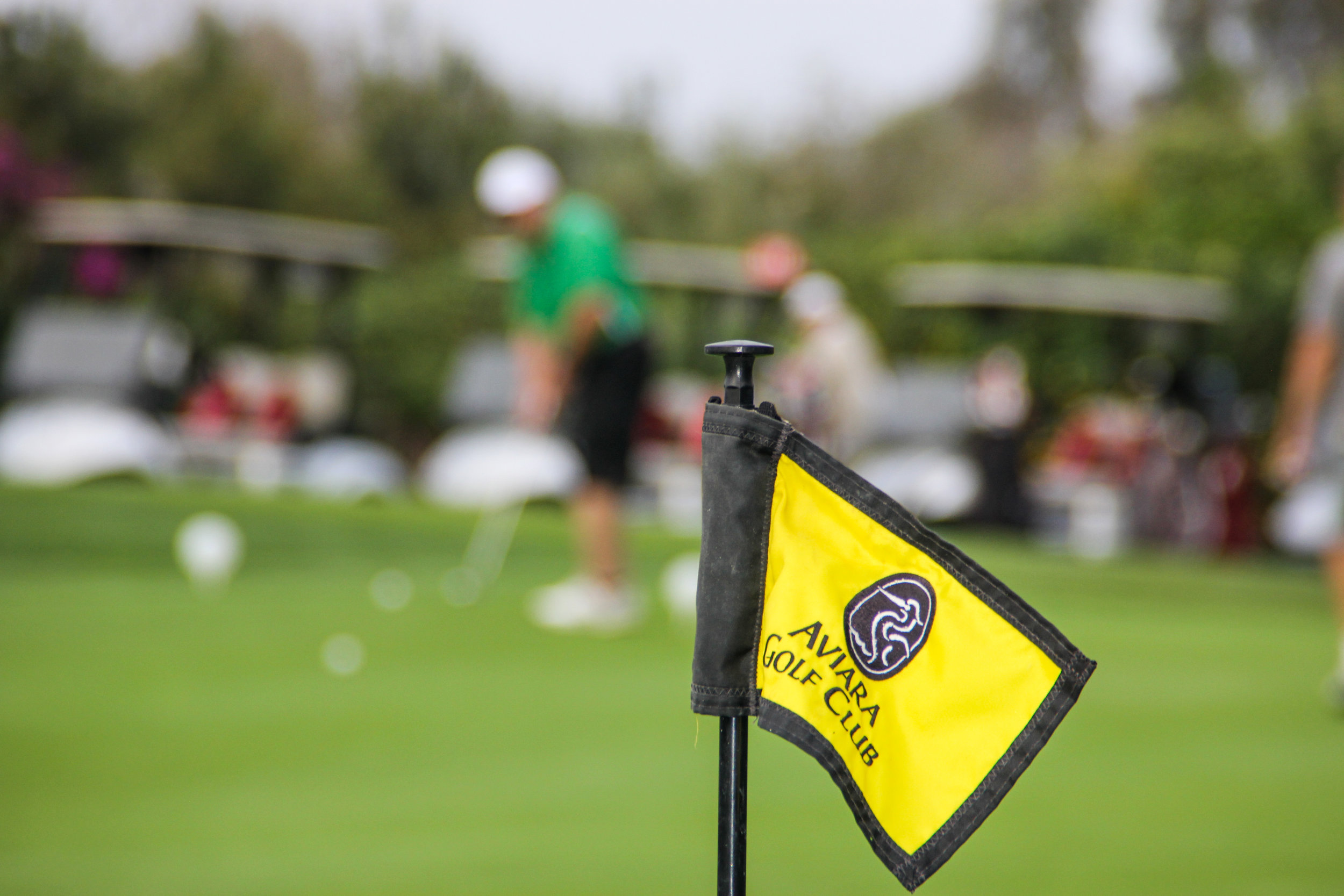 Forte_Golf_Tournament_2016_034.jpg