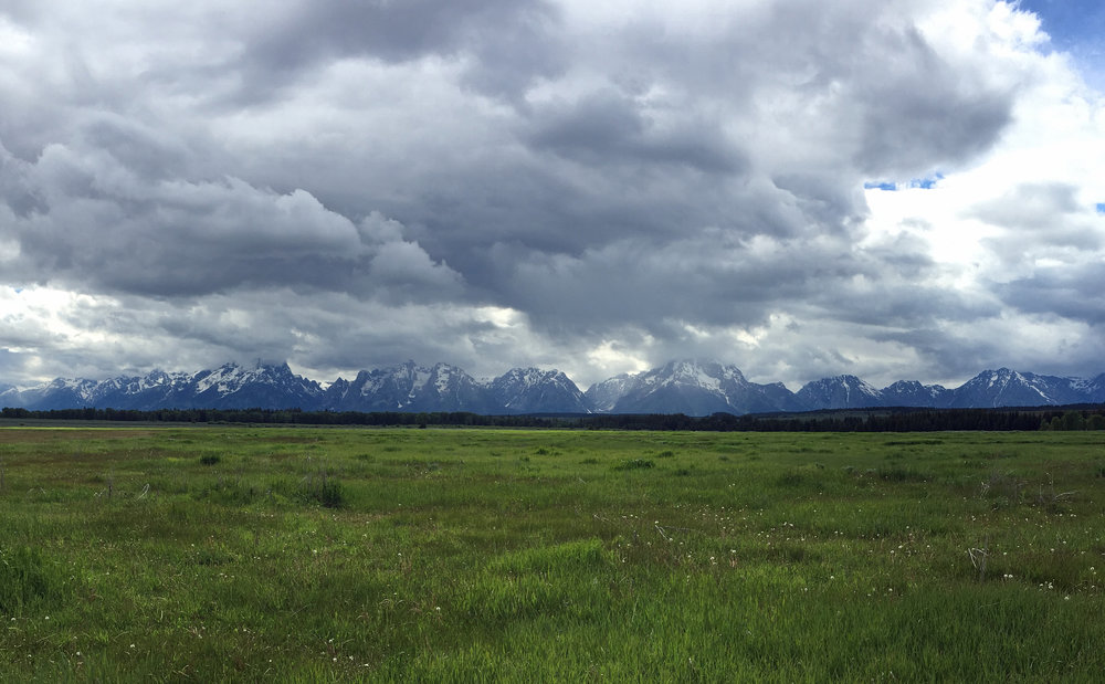 Tetons Pano June 2018.jpg