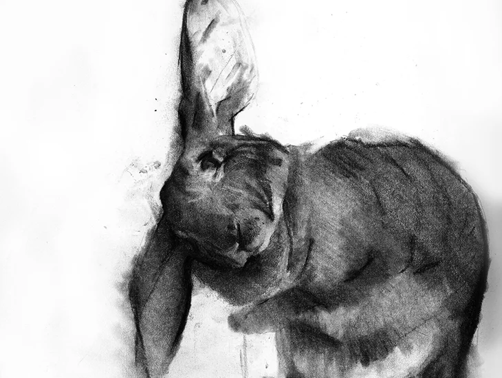rabbit+sketch+20+x+30+cmbenjaminbjørklund.jpg
