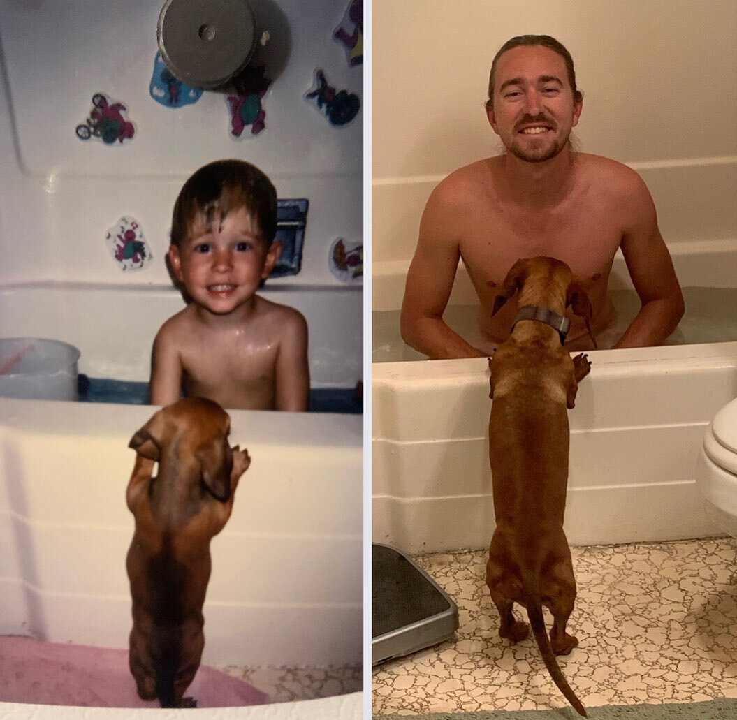 26 years later&hellip;
.
.
.
.
.
.
.
.
#thenandnow #dachshund #weinerdog #bathtime #bath #beforeandafter