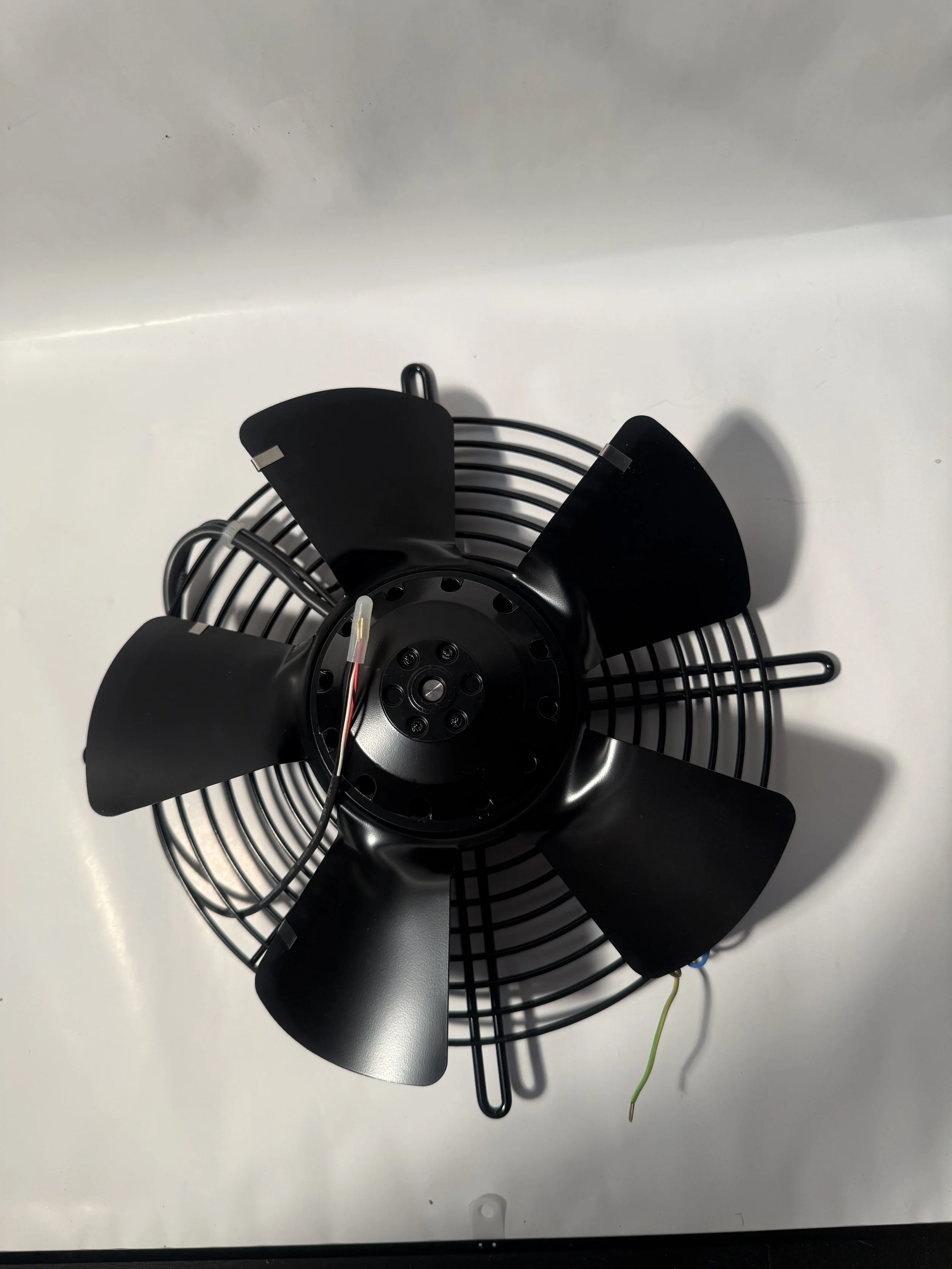 IMG_4641.jpeg