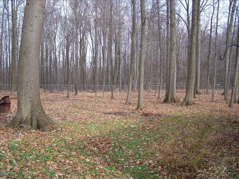 Fully fenced in backyard