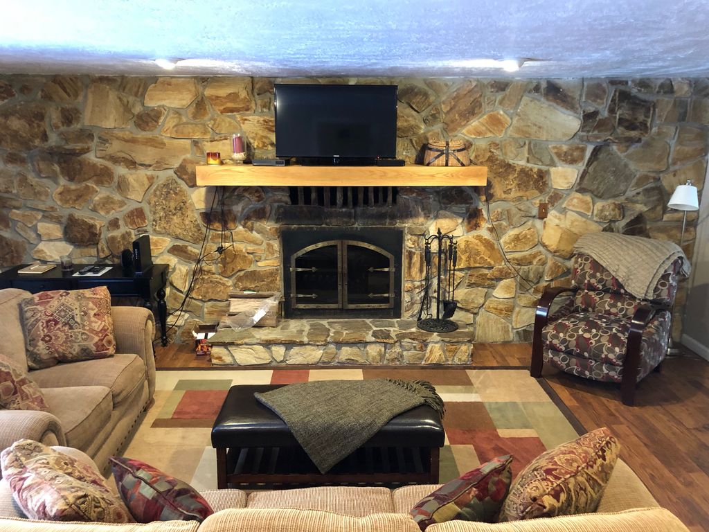 Living room features a wood burning fireplace and pull out couch