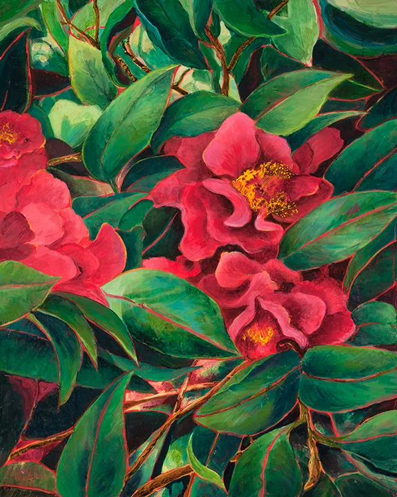 Camelias