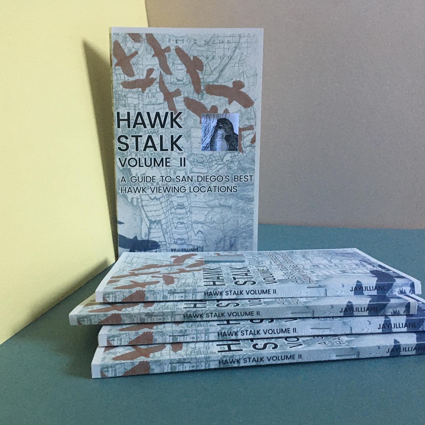 Hawk Stalk Volume II is here! If you love hawks and other birds of prey, grab a copy of my newest zine at Little Dame or on my site (link in bio)! #birdwatching #hawkstalk #hawks #birdsofprey #zines #sandiego #jeanettemadethis #jaylilliane